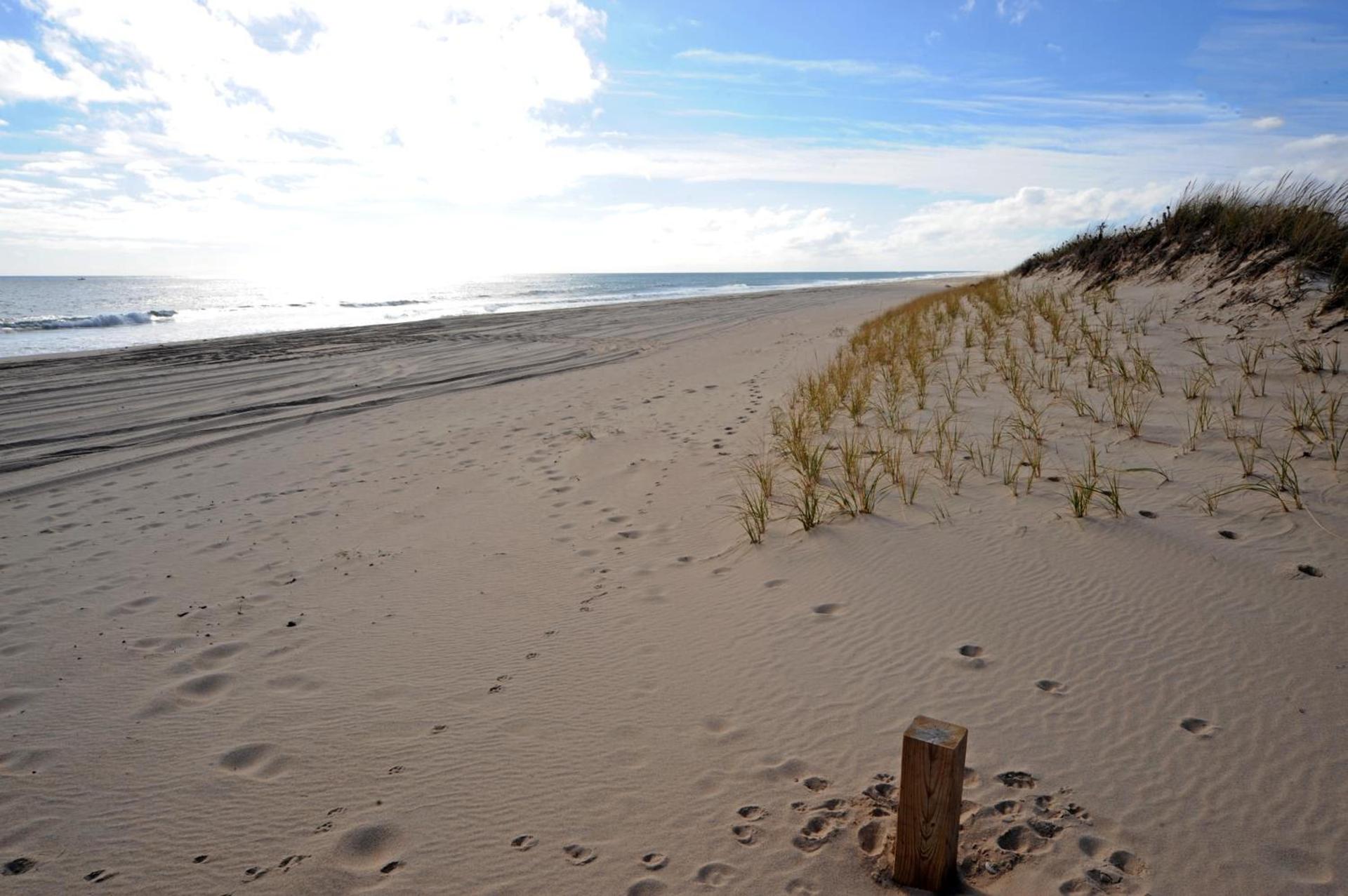 Driftwood Resort on the Ocean photo 37