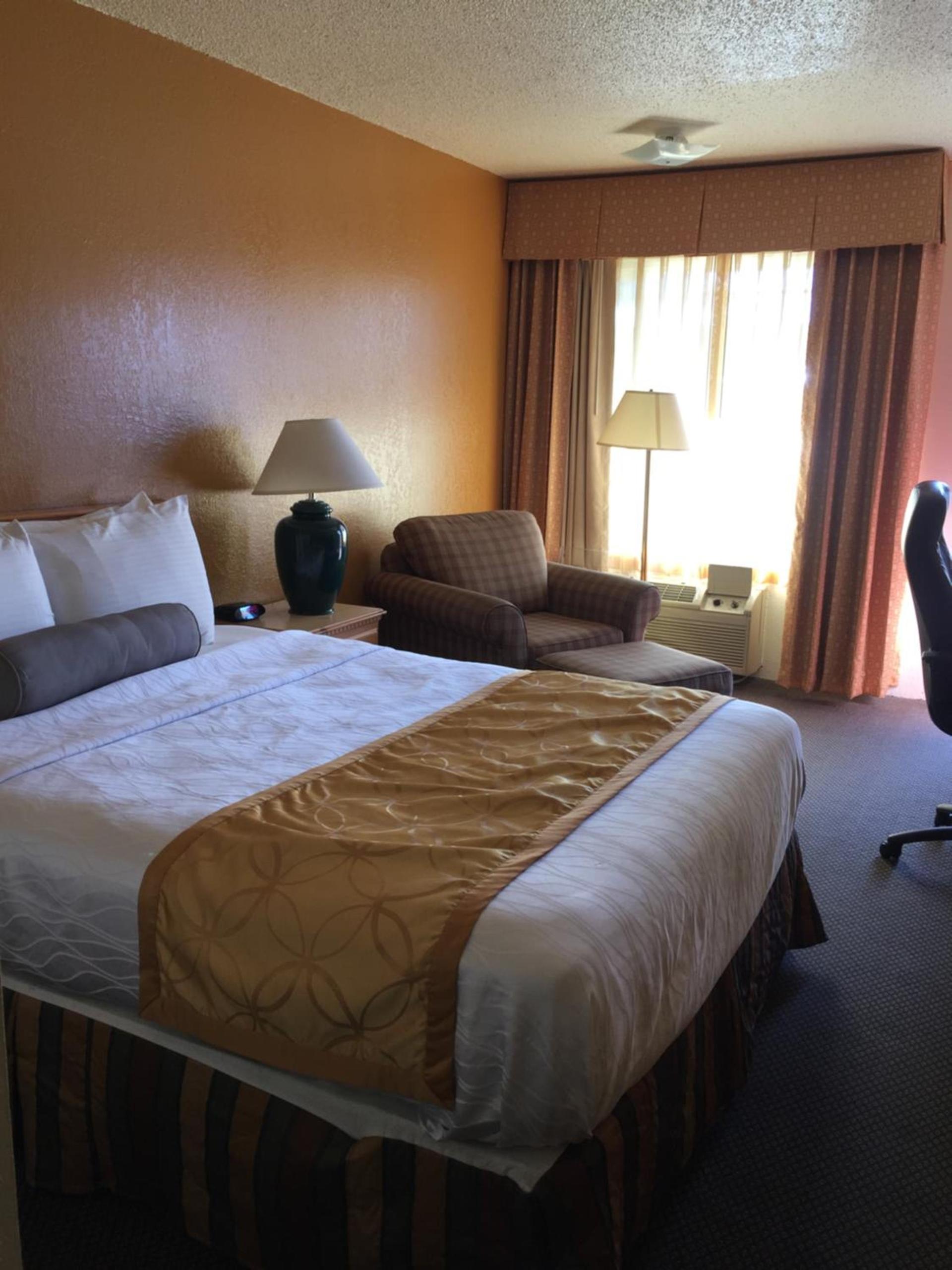 Pine Tree inn photo 19