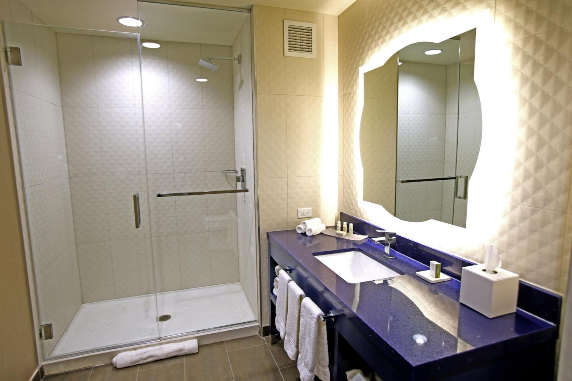 Hotel Indigo Naperville Riverwalk by IHG photo 7