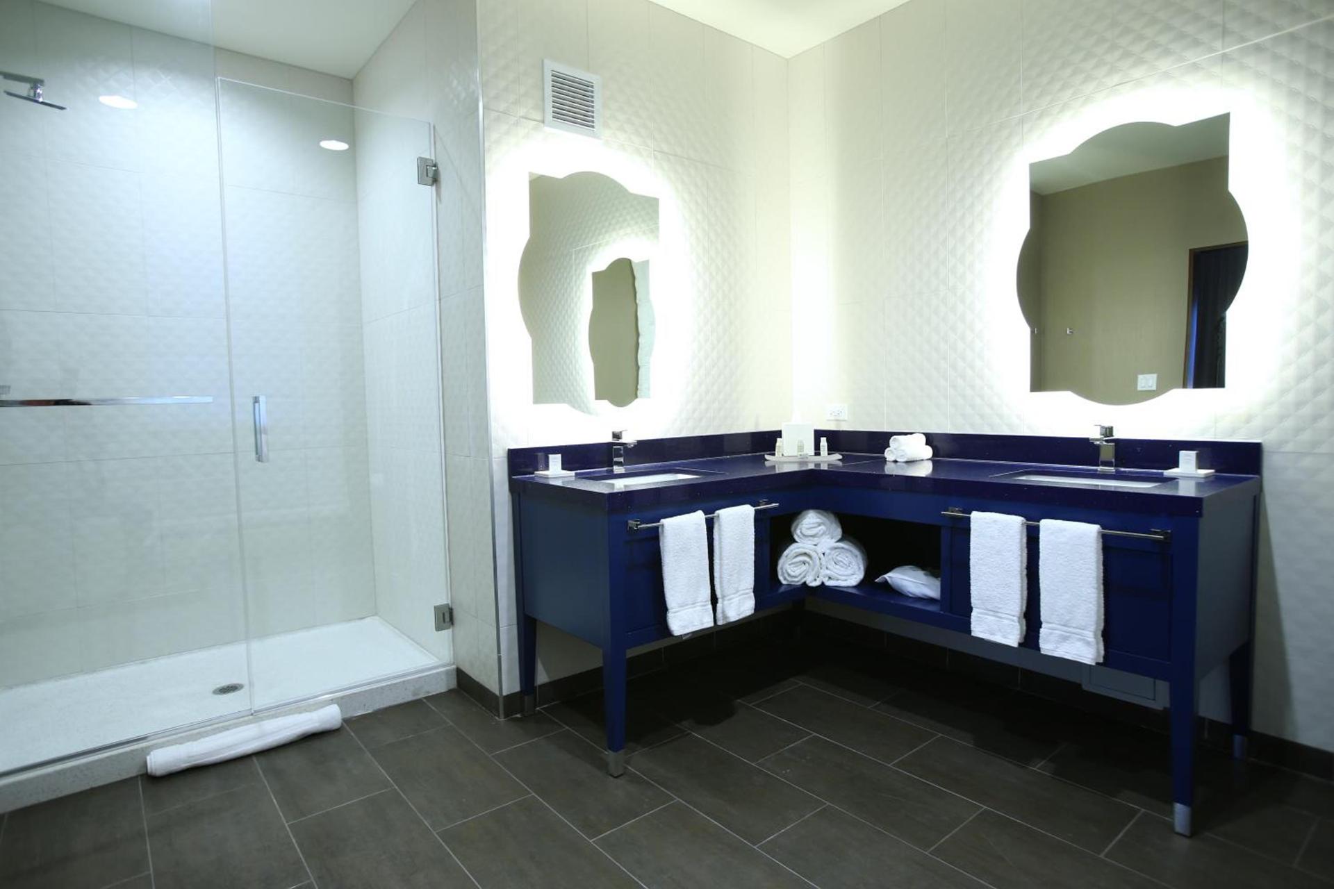 Hotel Indigo Naperville Riverwalk by IHG photo 8