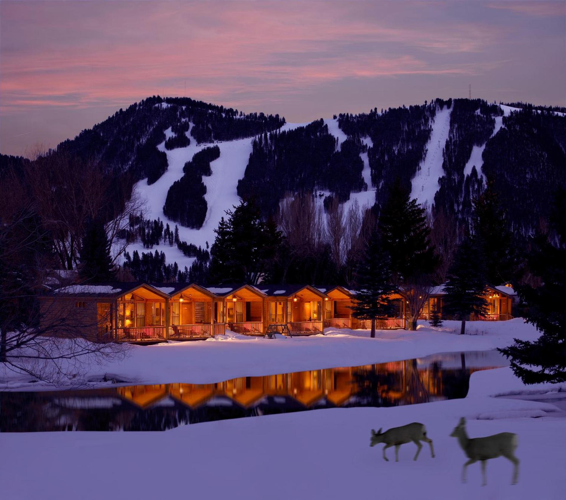 Rustic Inn Creekside photo 31