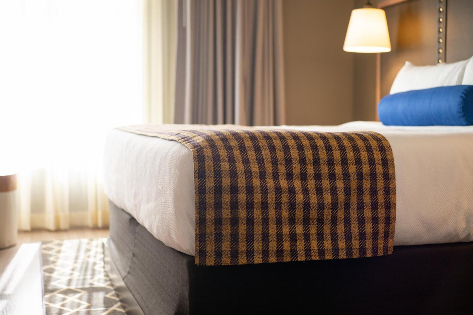 Hotel Indigo Hattiesburg by IHG photo 17