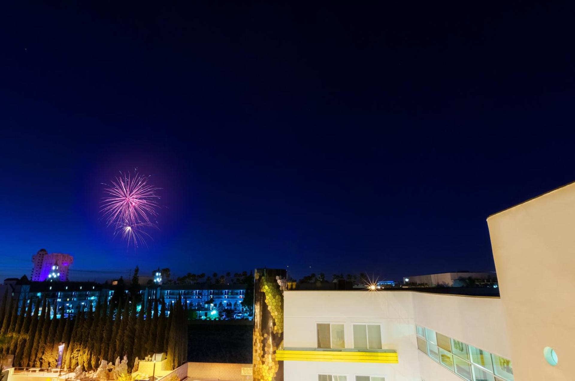 Hotel Indigo Anaheim by IHG photo 3