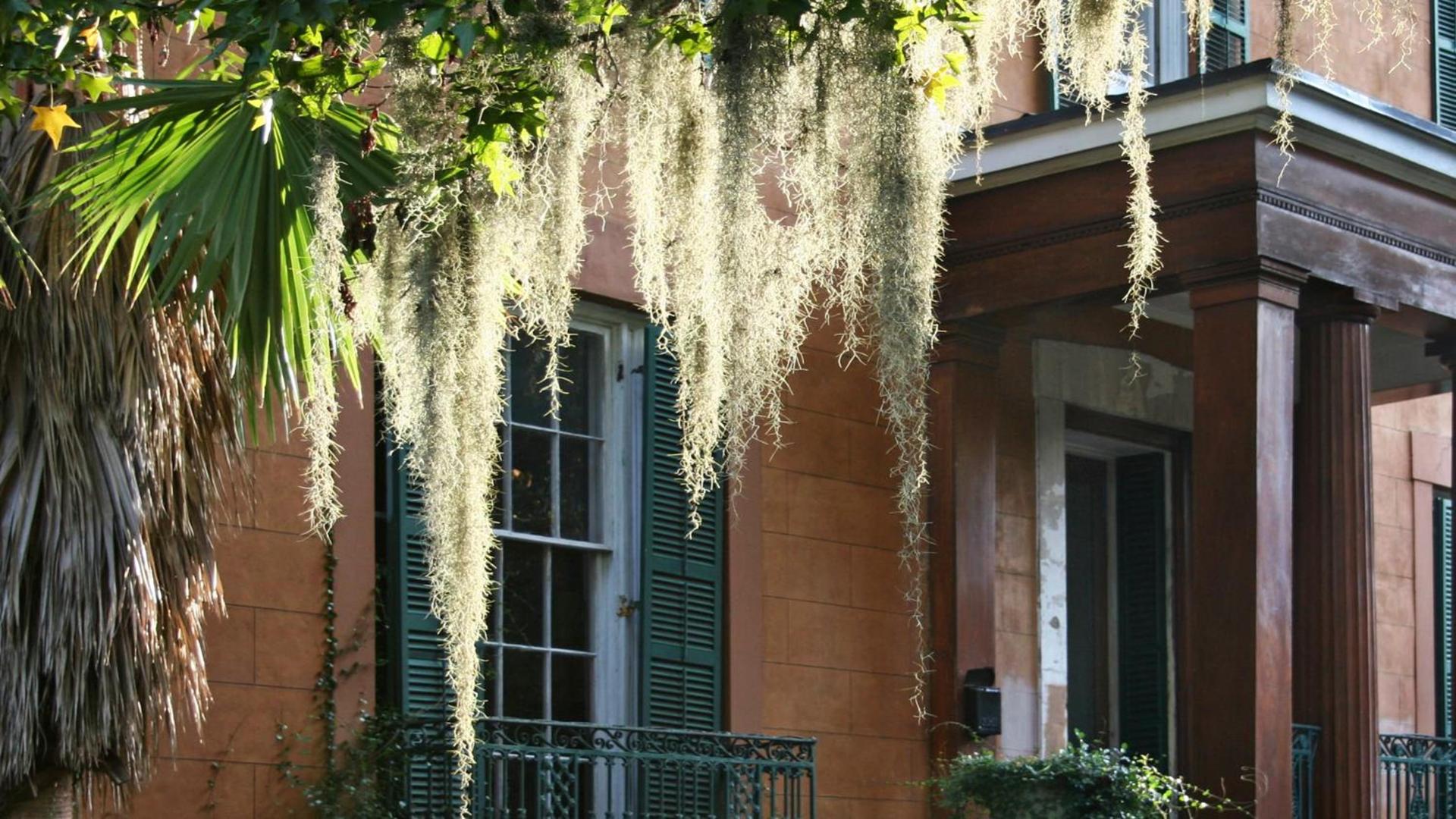 Hotel Indigo Savannah Historic District by IHG photo 37