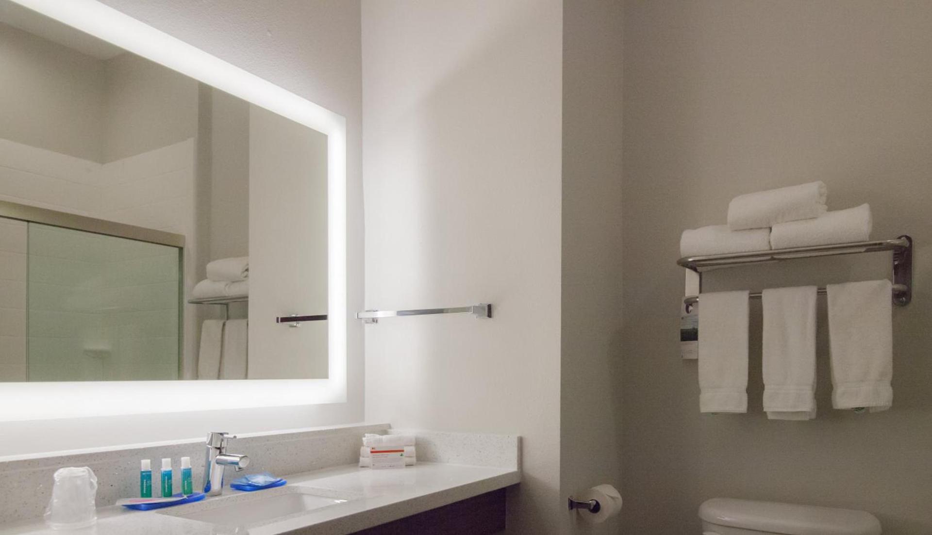 Holiday Inn Express Houston-Alvin by IHG photo 29