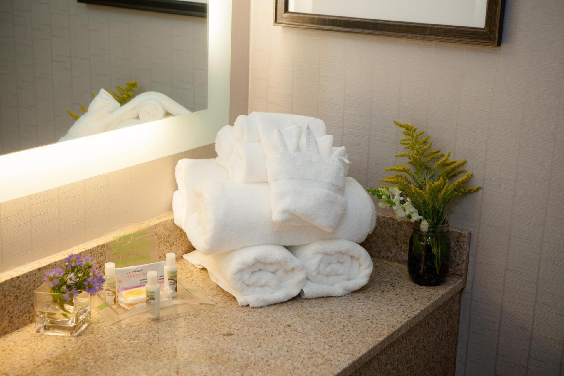 Holiday Inn Greenville by IHG photo 26