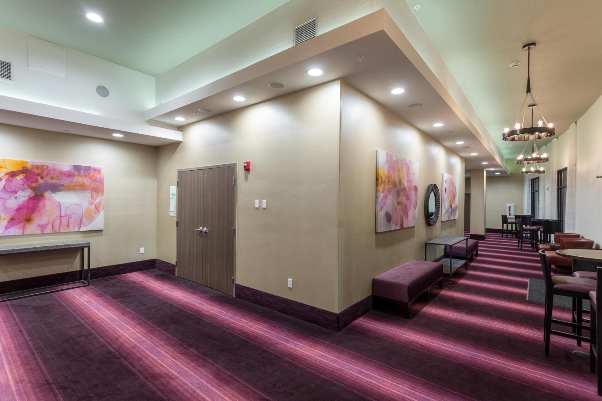 Holiday Inn San Marcos Convention Center by IHG photo 45