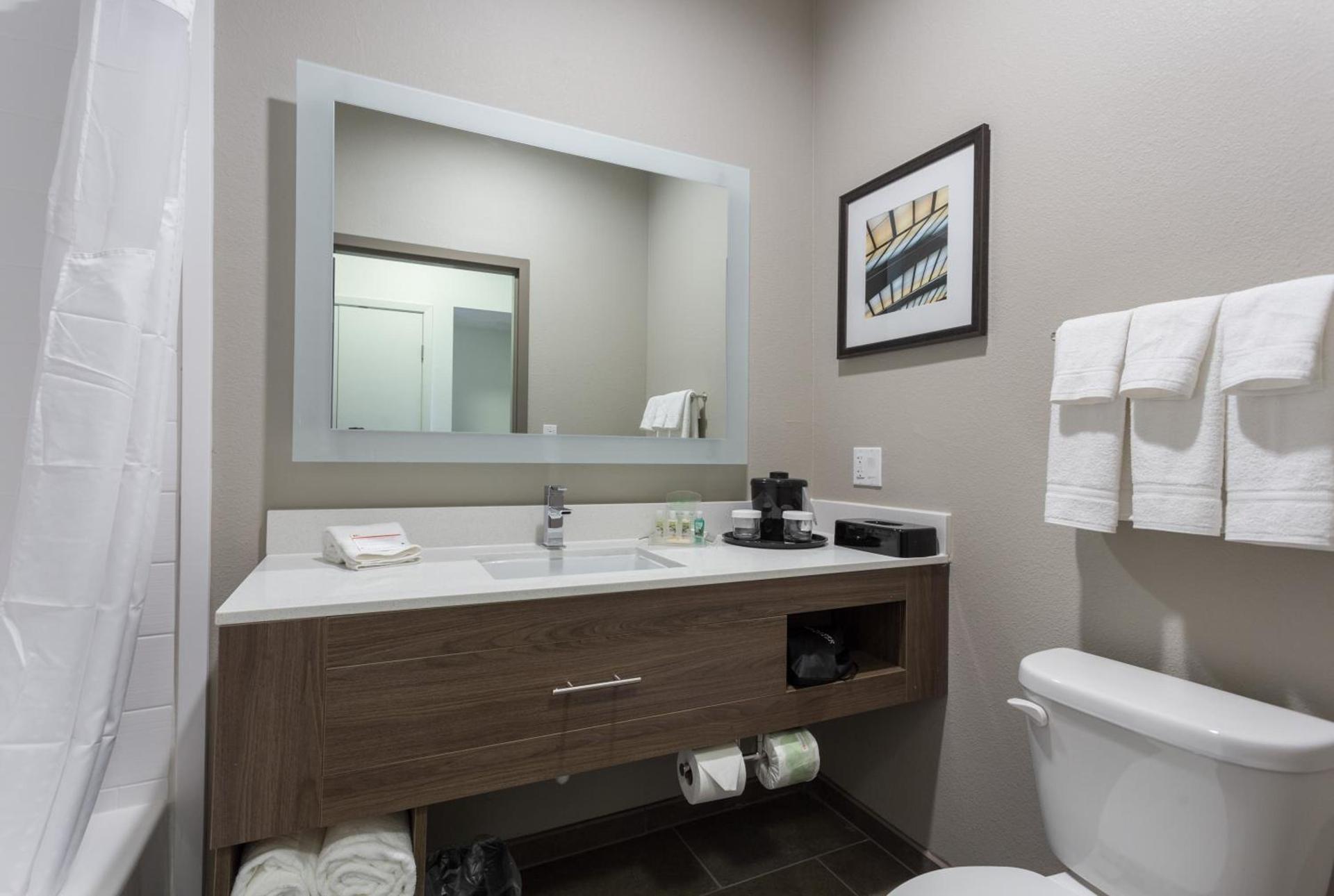 Holiday Inn San Marcos Convention Center by IHG photo 35