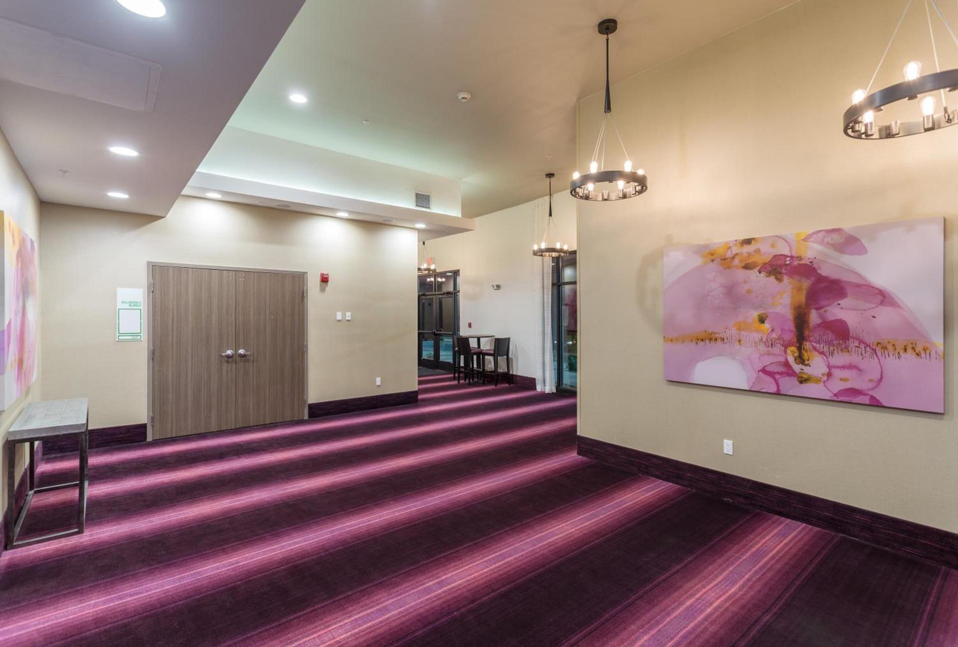 Holiday Inn San Marcos Convention Center by IHG photo 43