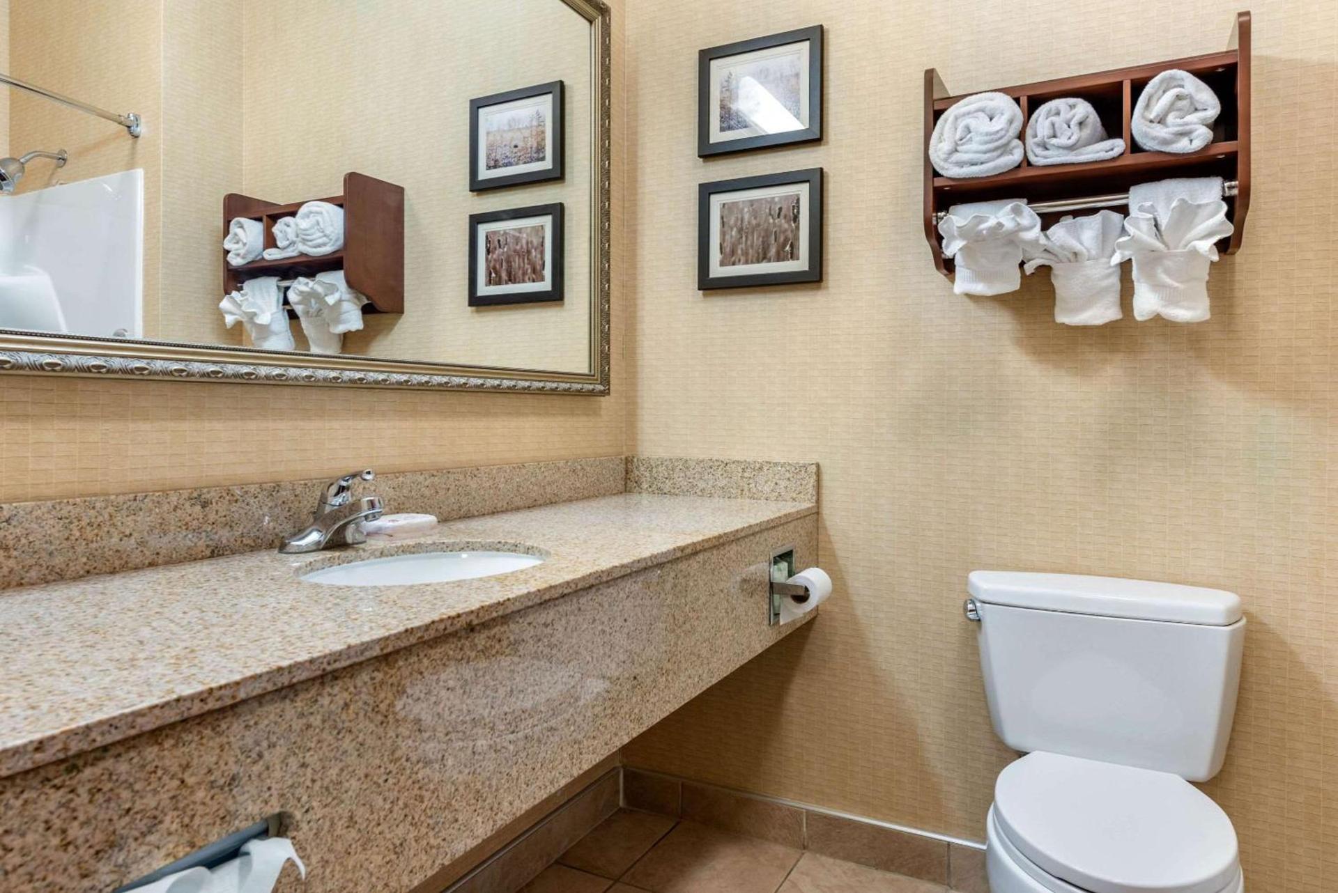 Comfort Suites Elkhart South photo 7