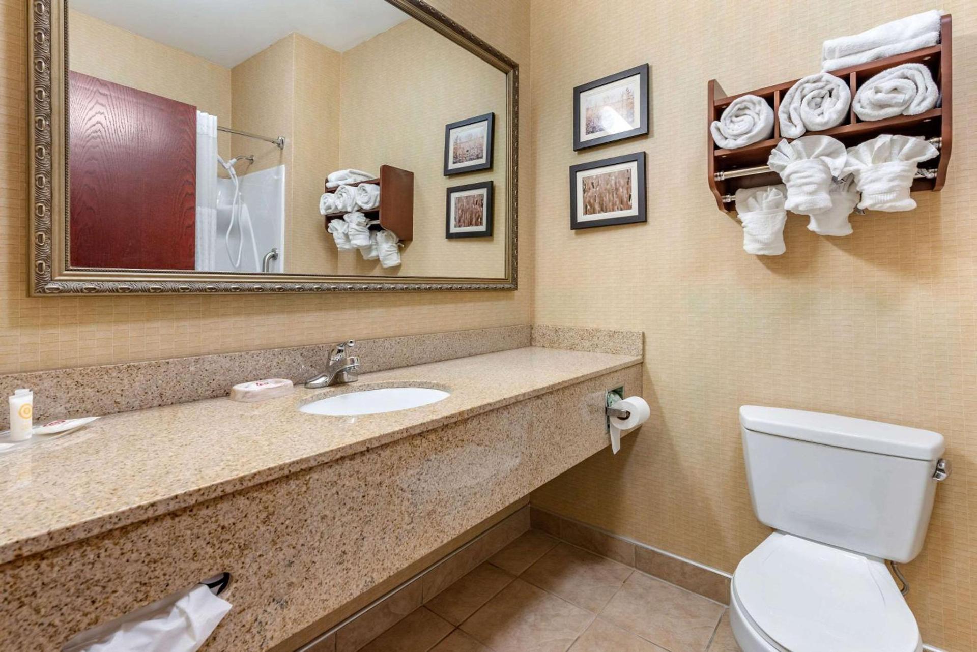 Comfort Suites Elkhart South photo 8