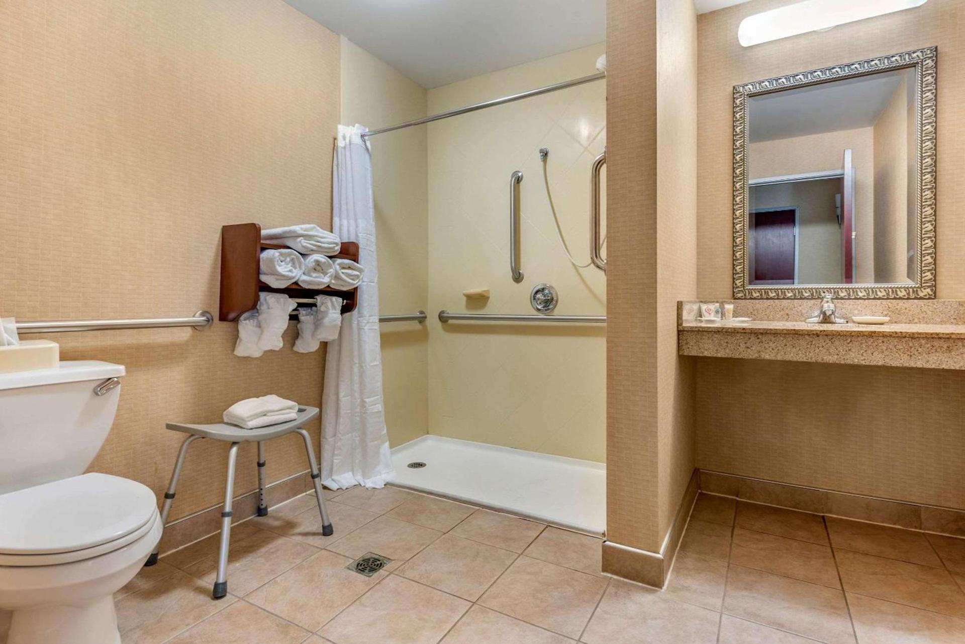 Comfort Suites Elkhart South photo 21