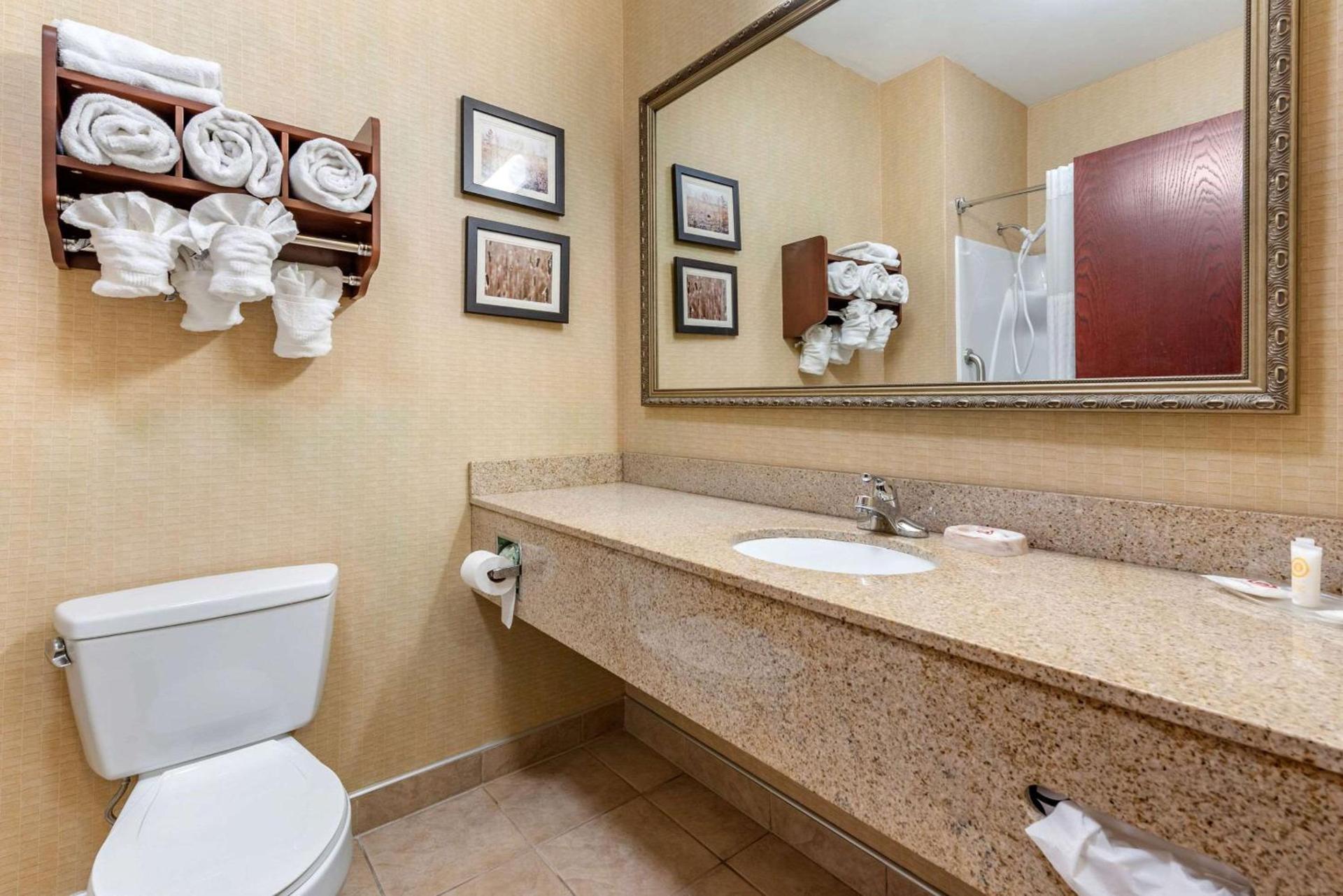 Comfort Suites Elkhart South photo 6