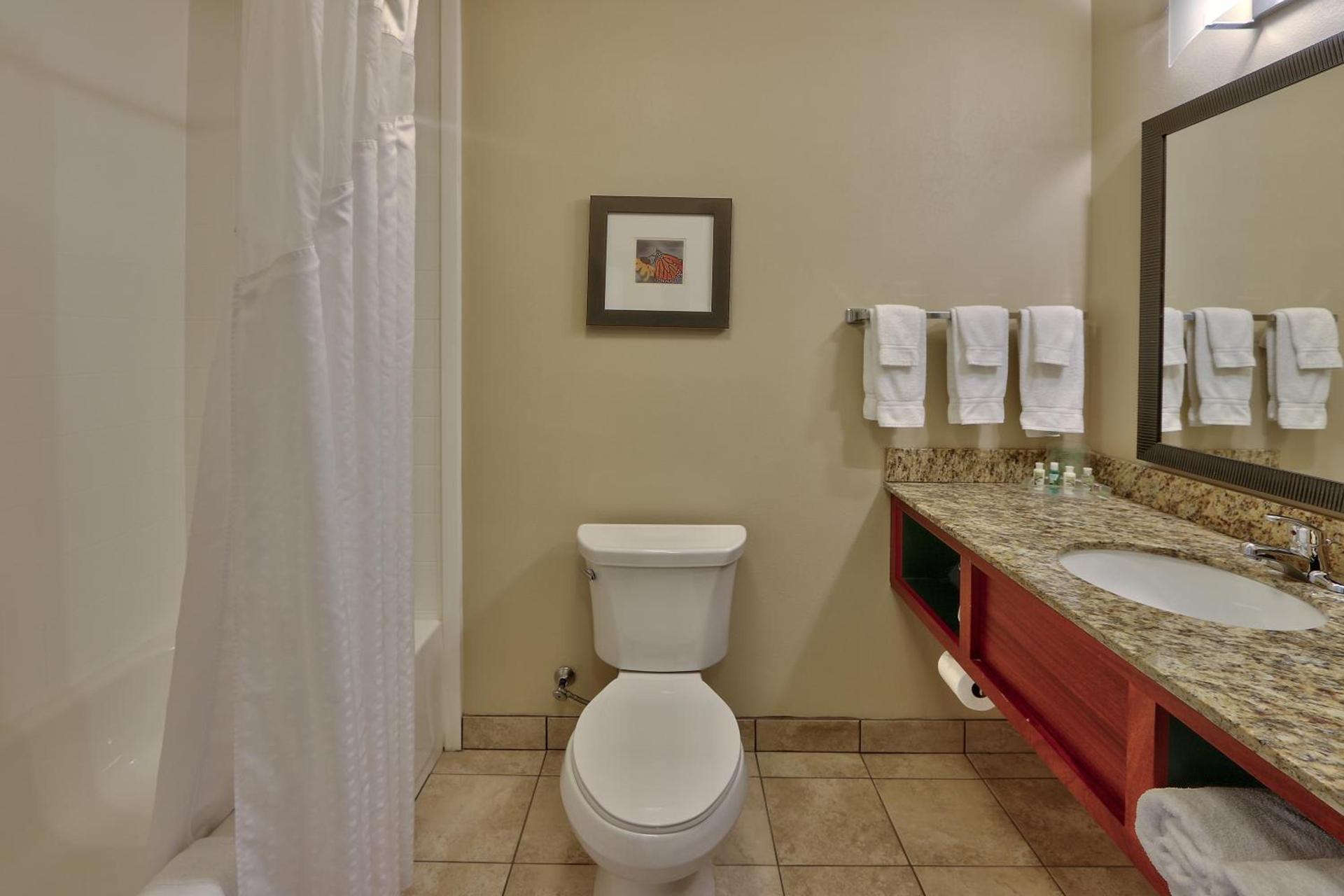Holiday Inn Roswell by IHG photo 19