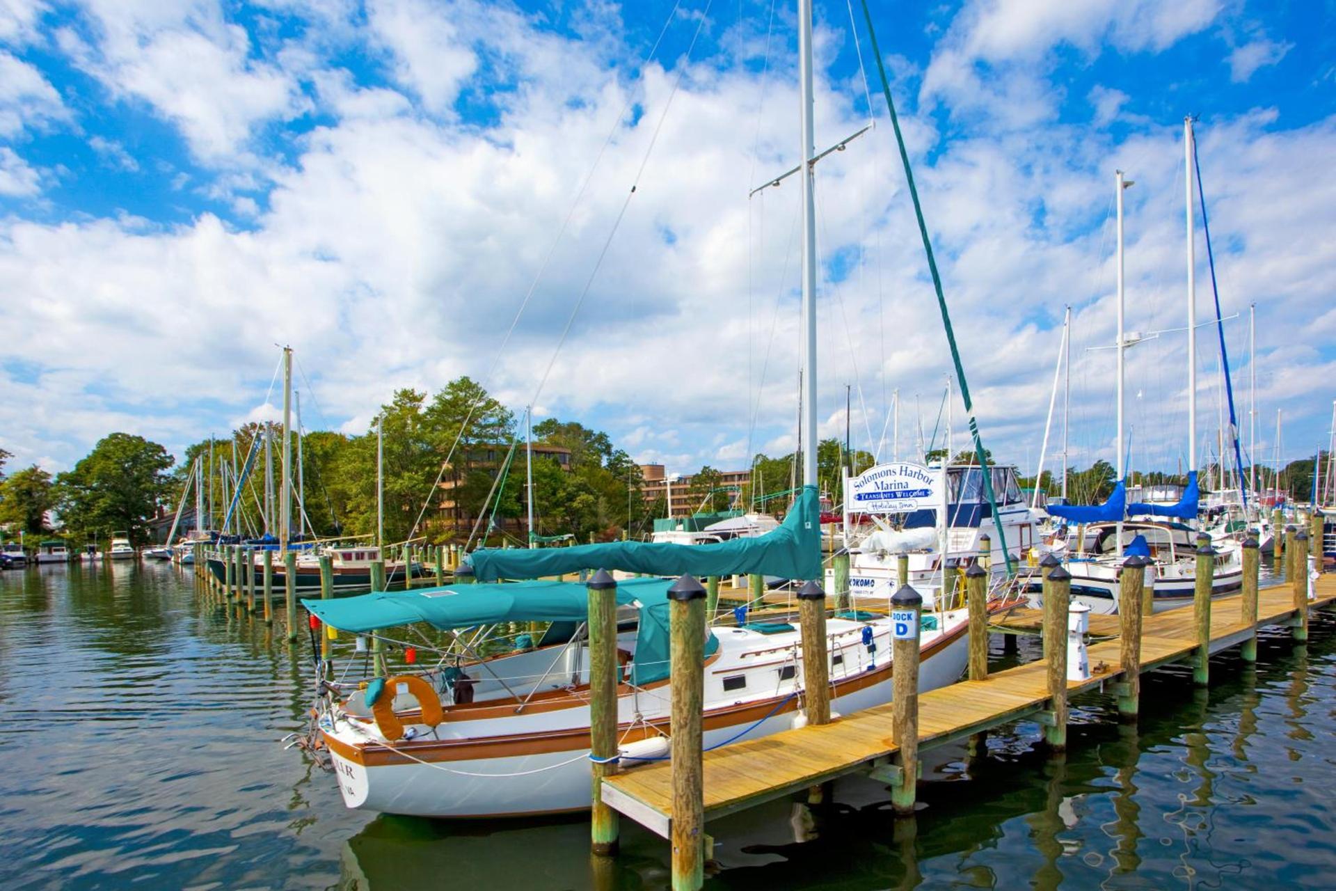 Solomons Inn Resort and Marina photo 18