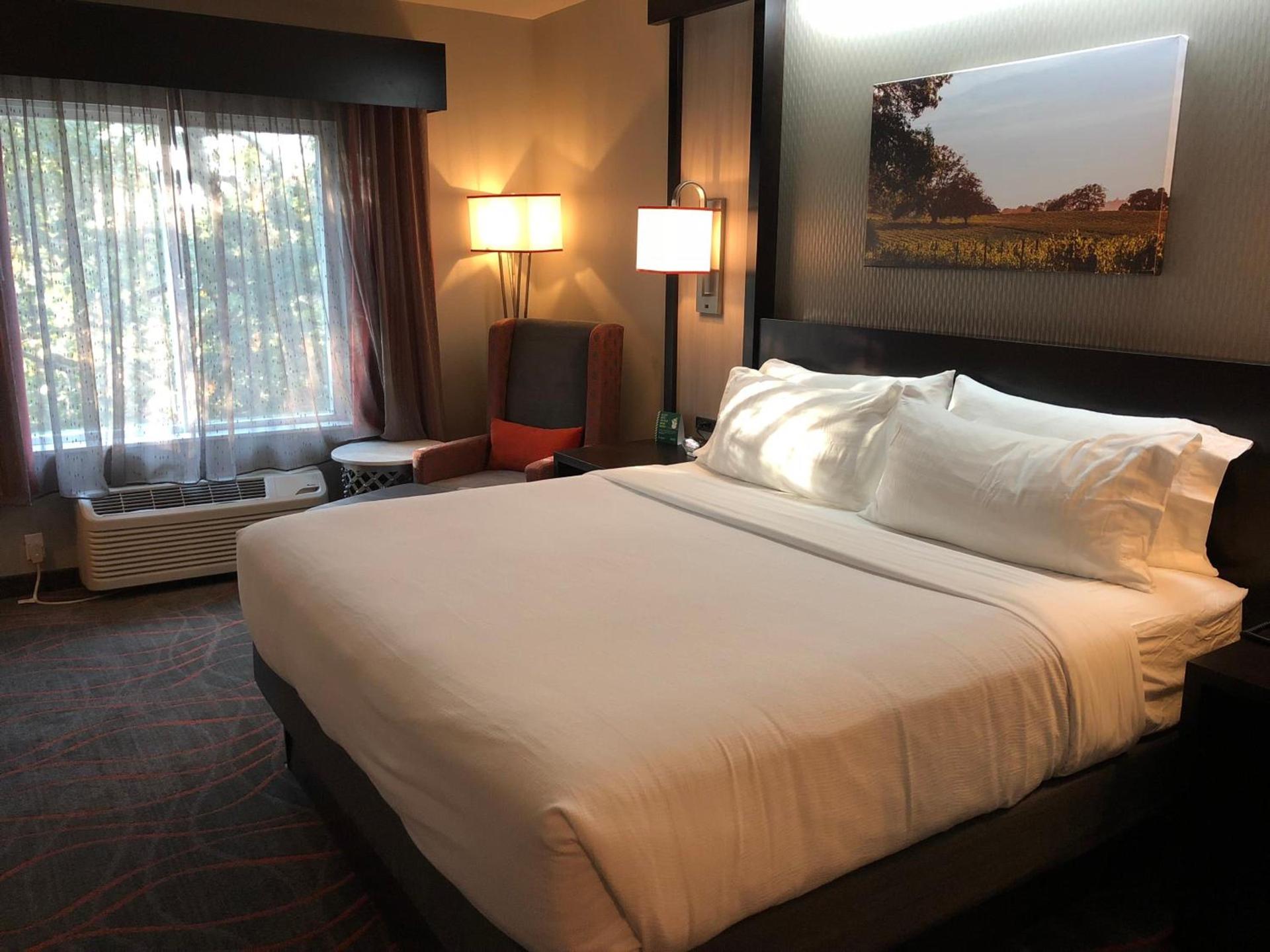 Holiday Inn Windsor - Wine Country by IHG photo 37