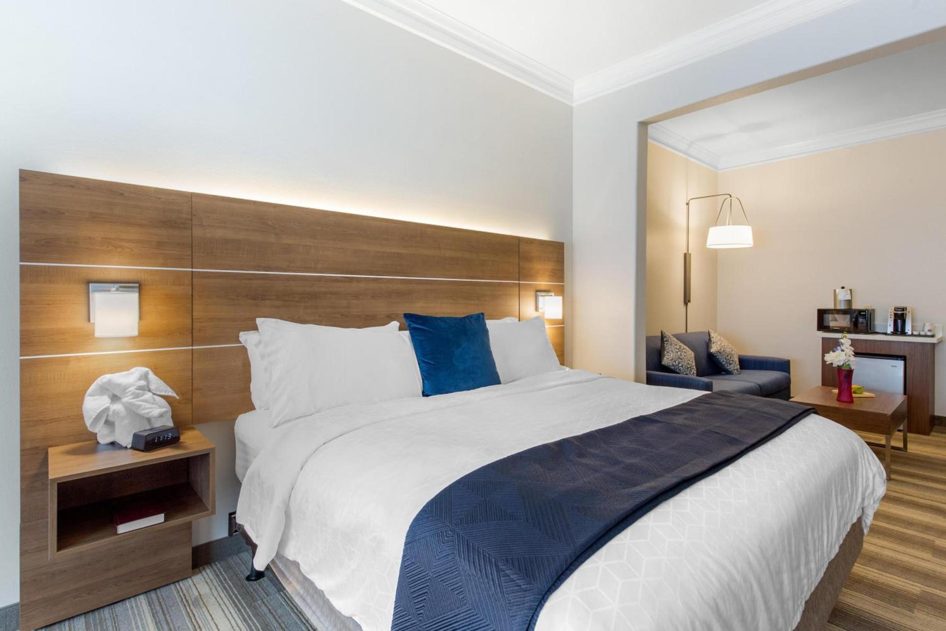 Holiday Inn Express Houston-Alvin by IHG photo 45
