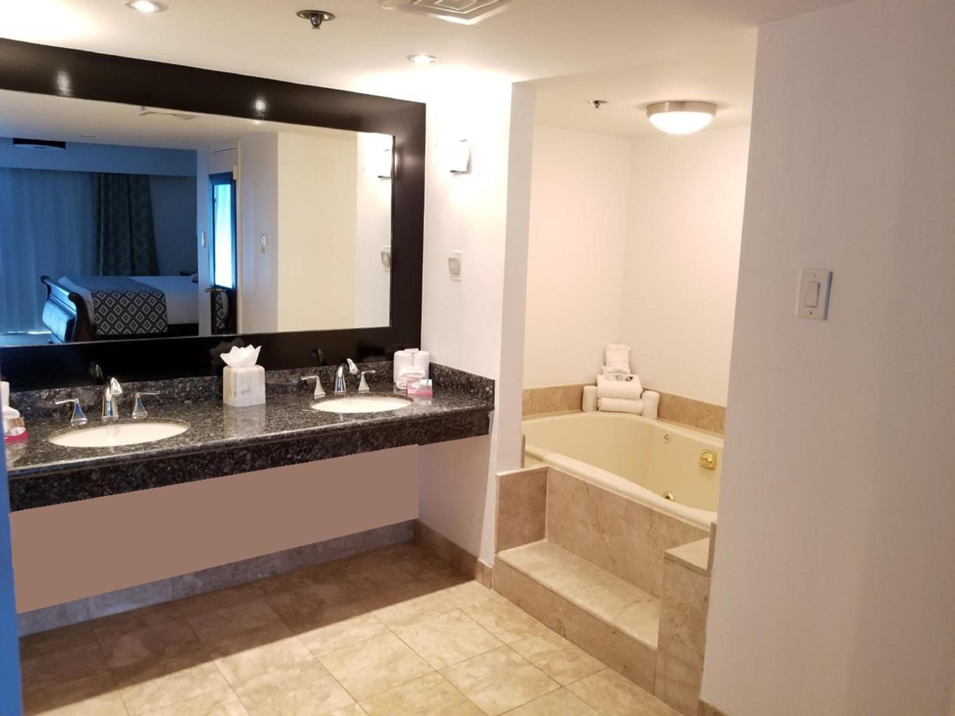 Wyndham Houston near NRG Park - Medical Center photo 10