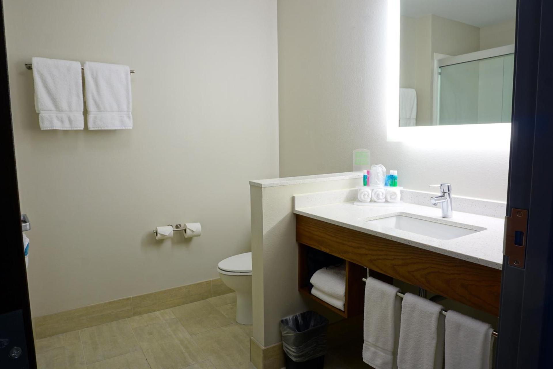 Holiday Inn Express & Suites Omaha - Millard Area by IHG photo 29