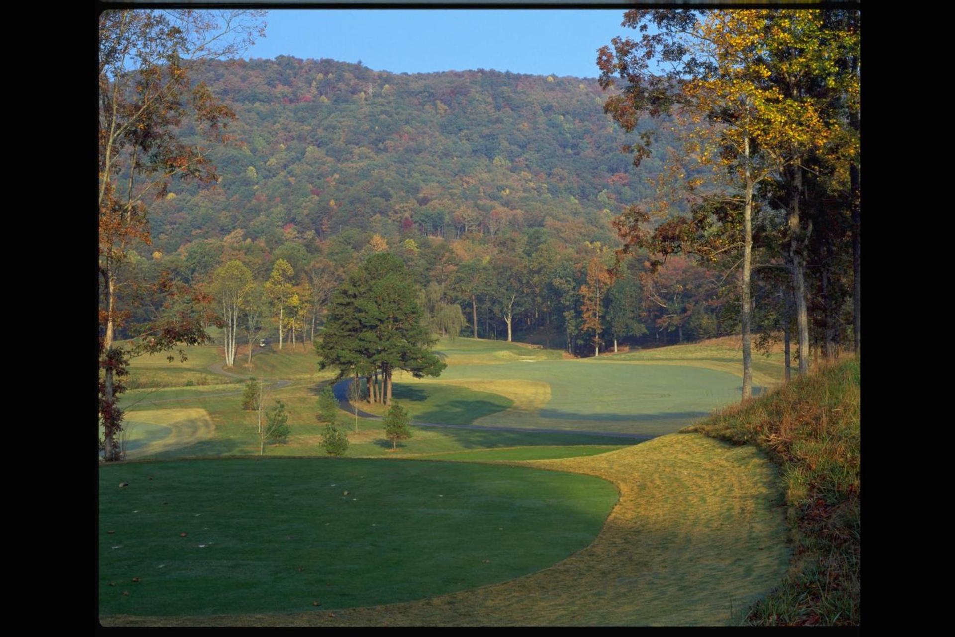 Kingwood Resort & Golf Club photo 8