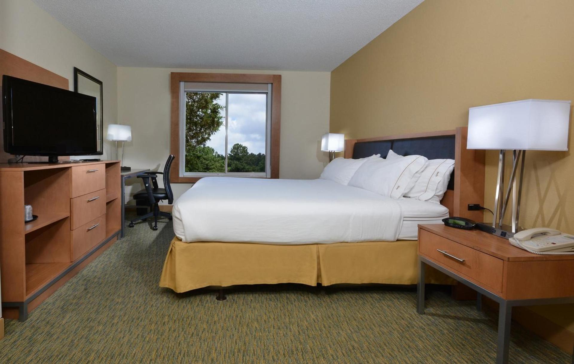 Holiday Inn Express Hotel & Suites High Point South by IHG photo 22
