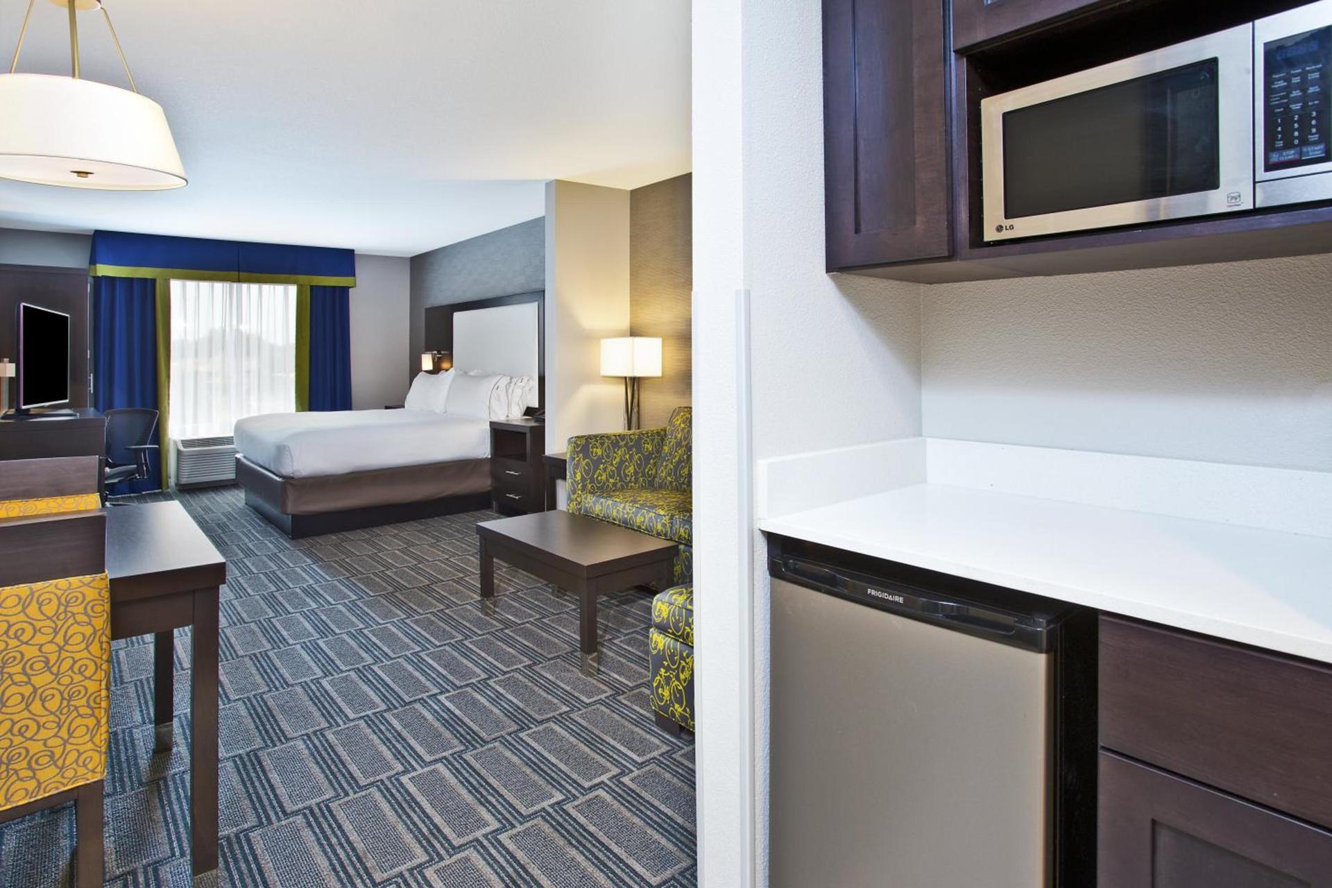 Holiday Inn Express Hotel & Suites Ann Arbor West by IHG photo 34