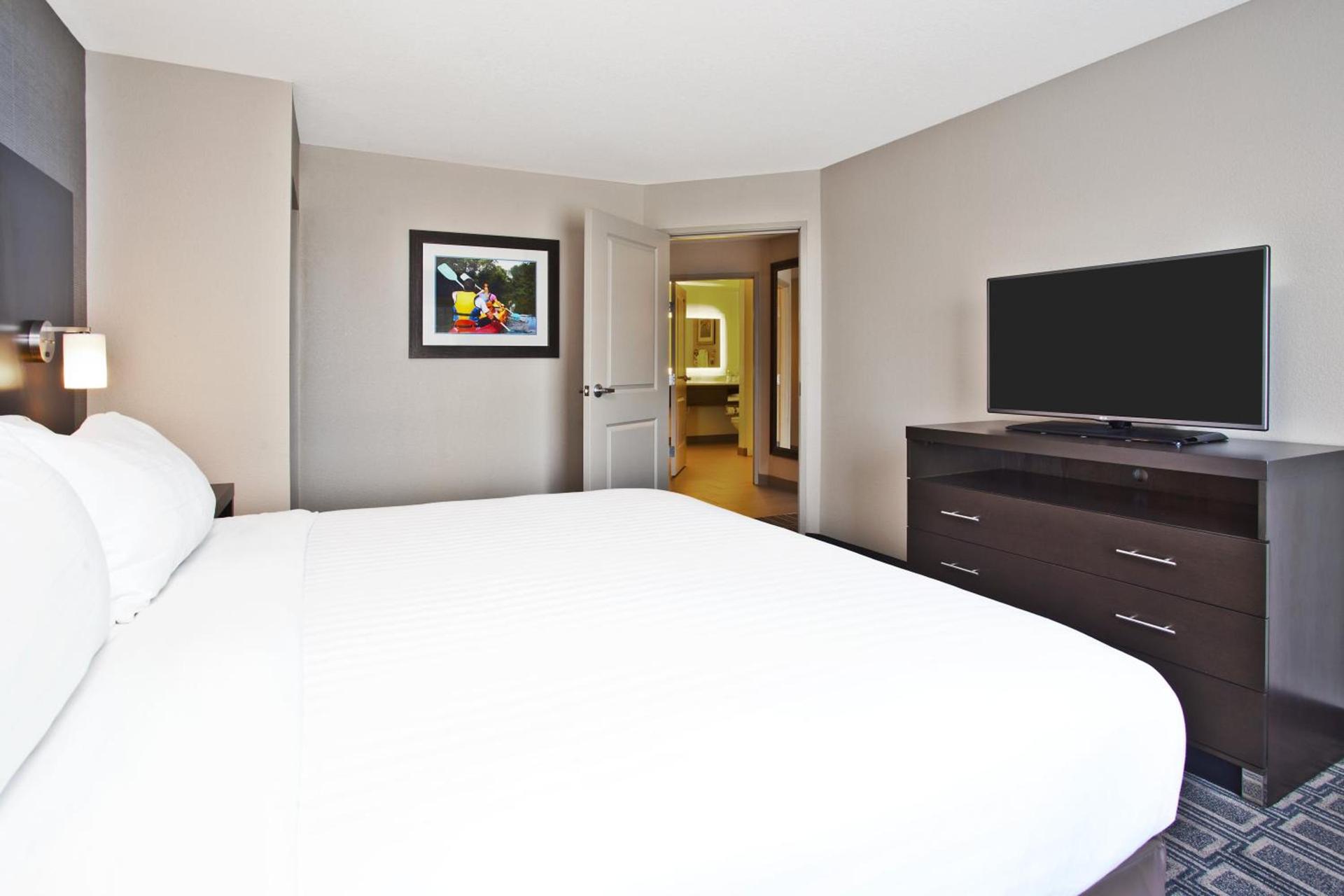 Holiday Inn Express Hotel & Suites Ann Arbor West by IHG photo 35