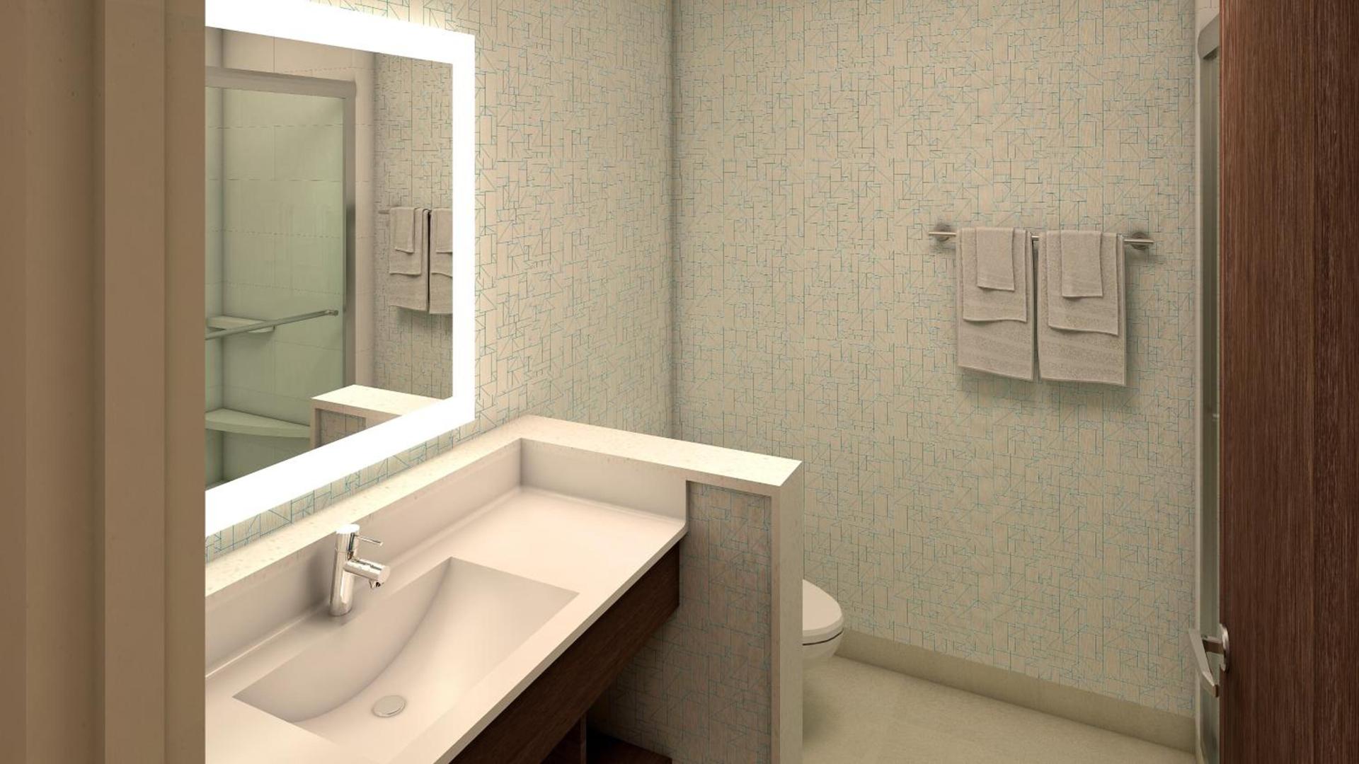 Holiday Inn Express & Suites Taylor by IHG photo 65
