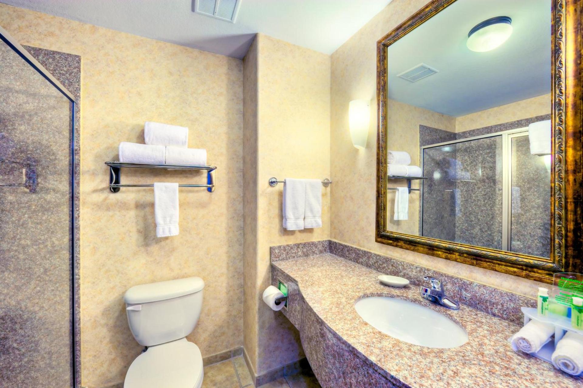 Holiday Inn Express and Suites Granbury by IHG photo 29