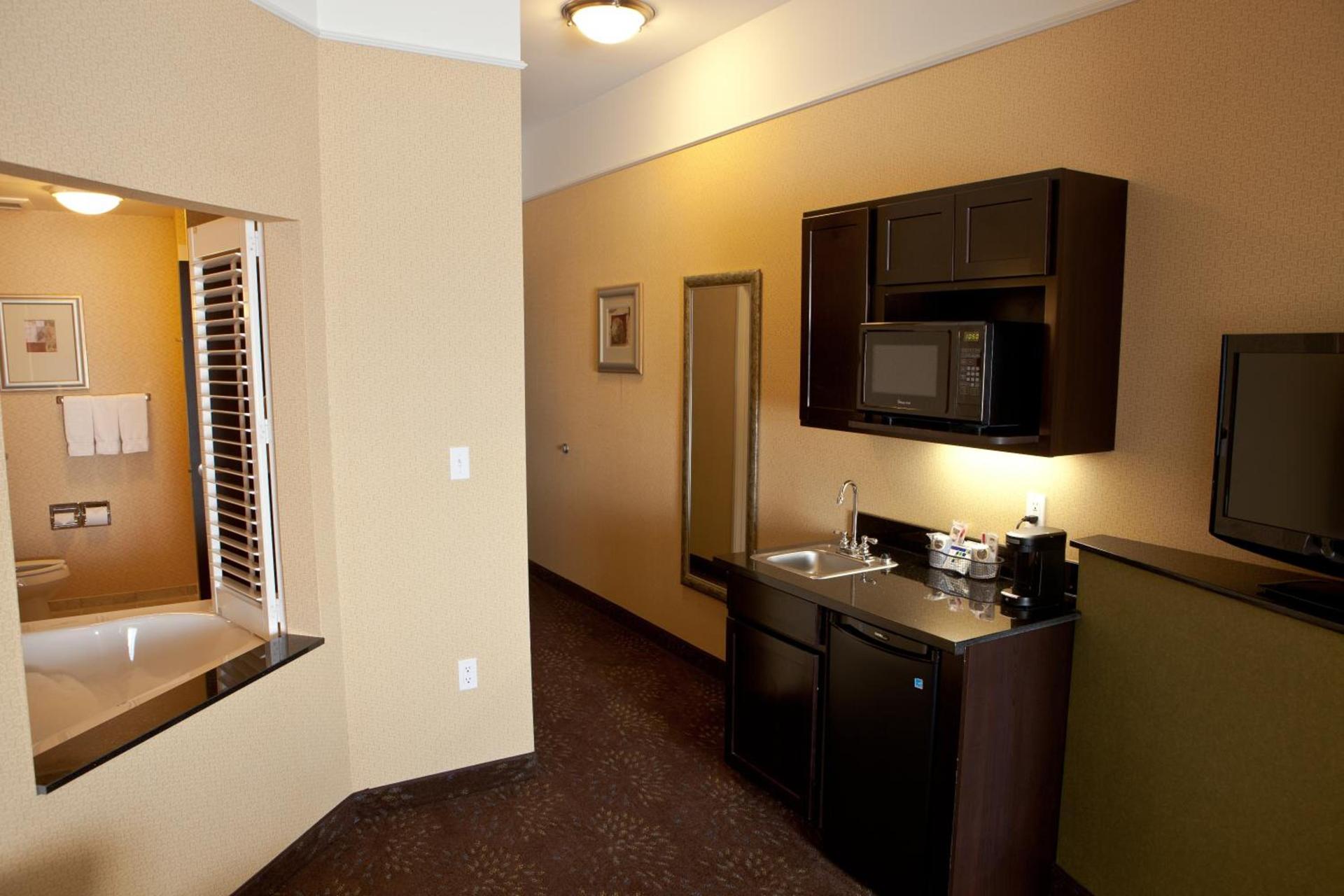 Holiday Inn Express Hotel & Suites Lansing-Dimondale by IHG photo 78