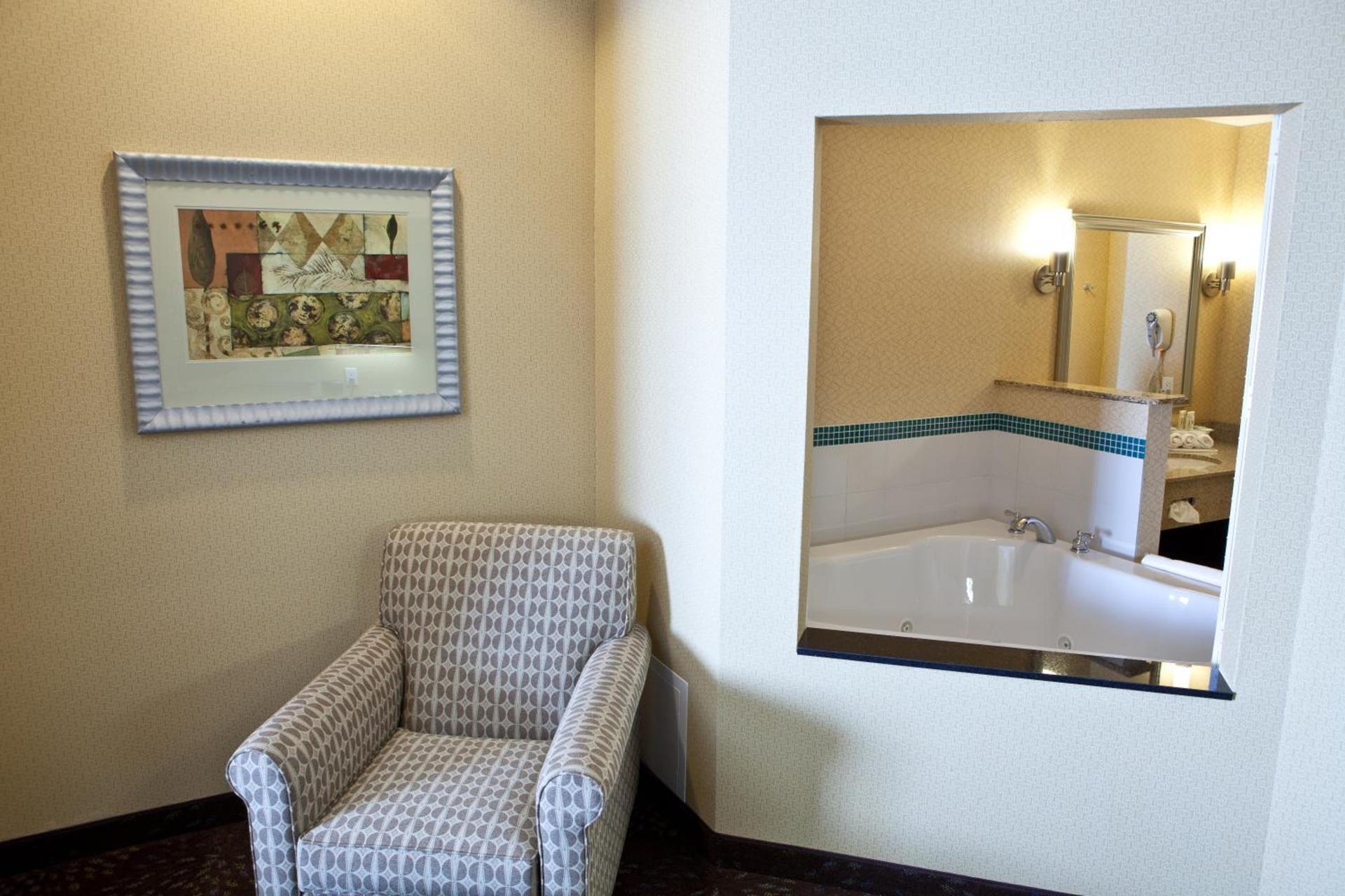 Holiday Inn Express Hotel & Suites Lansing-Dimondale by IHG photo 63