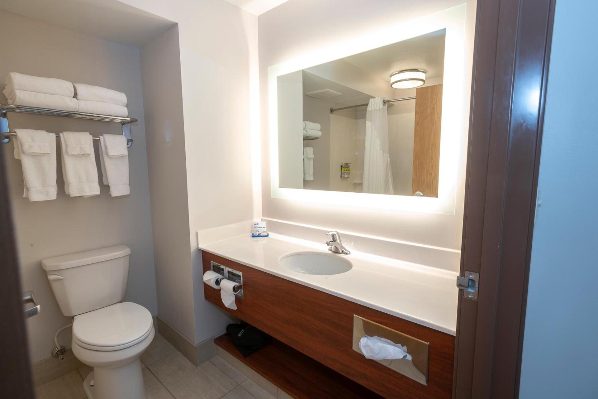 Holiday Inn Express & Suites Iron Mountain by IHG photo 21