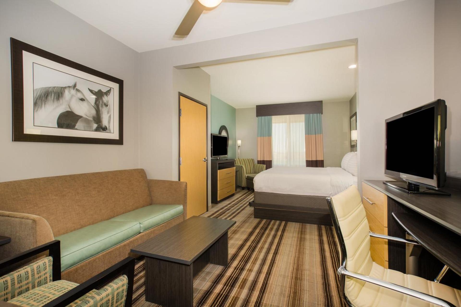 Holiday Inn Express & Suites Amarillo West by IHG photo 14