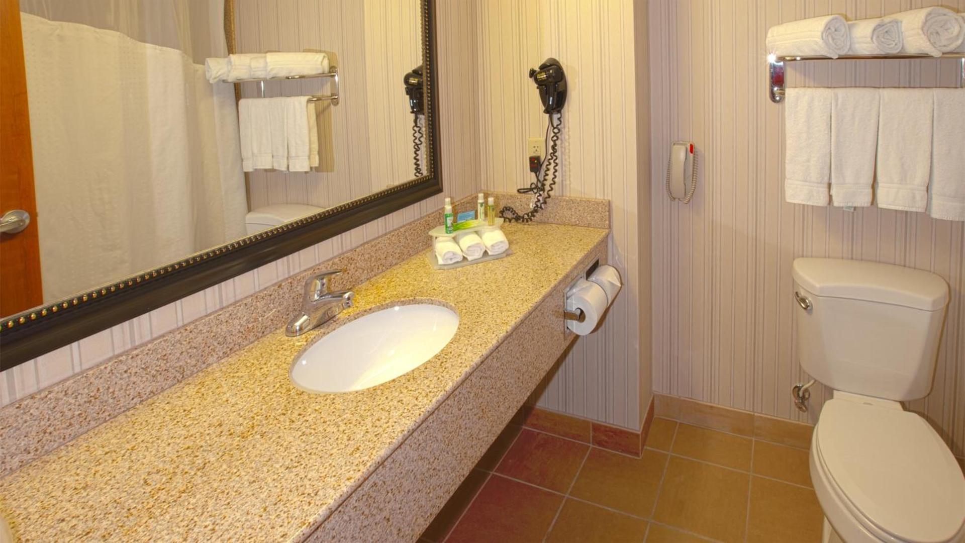 Holiday Inn Express & Suites Nampa - Idaho Center by IHG photo 12