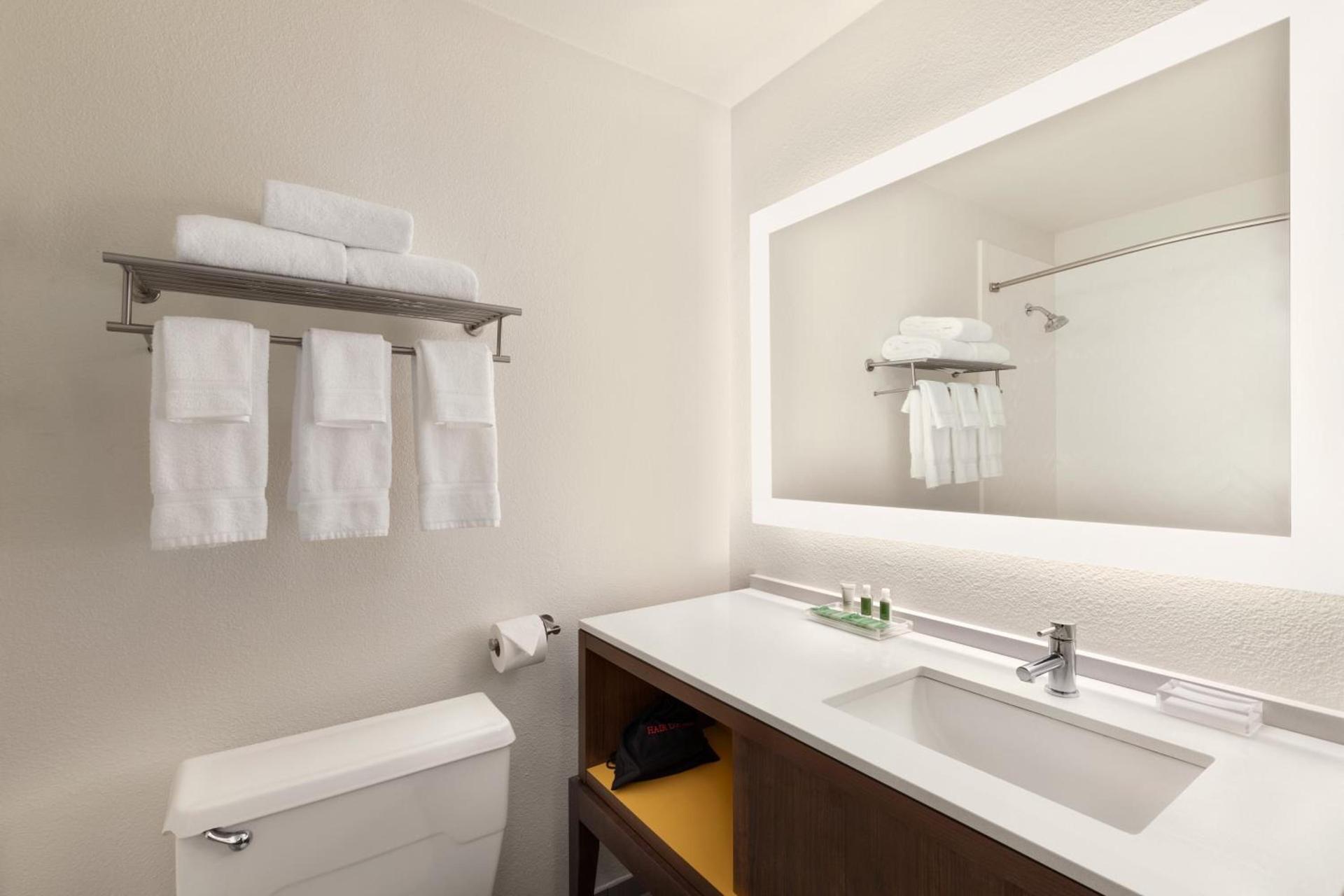 Holiday Inn Houston Intercontinental Airport by IHG photo 18