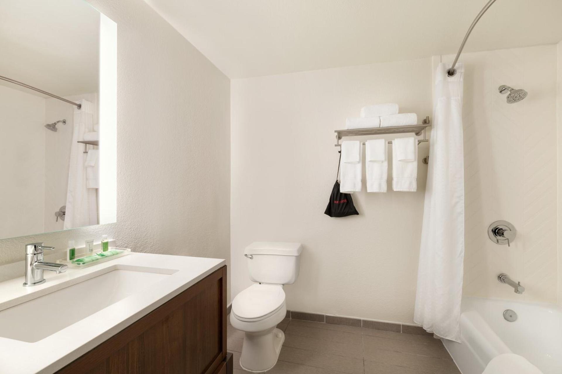Holiday Inn Houston Intercontinental Airport by IHG photo 22