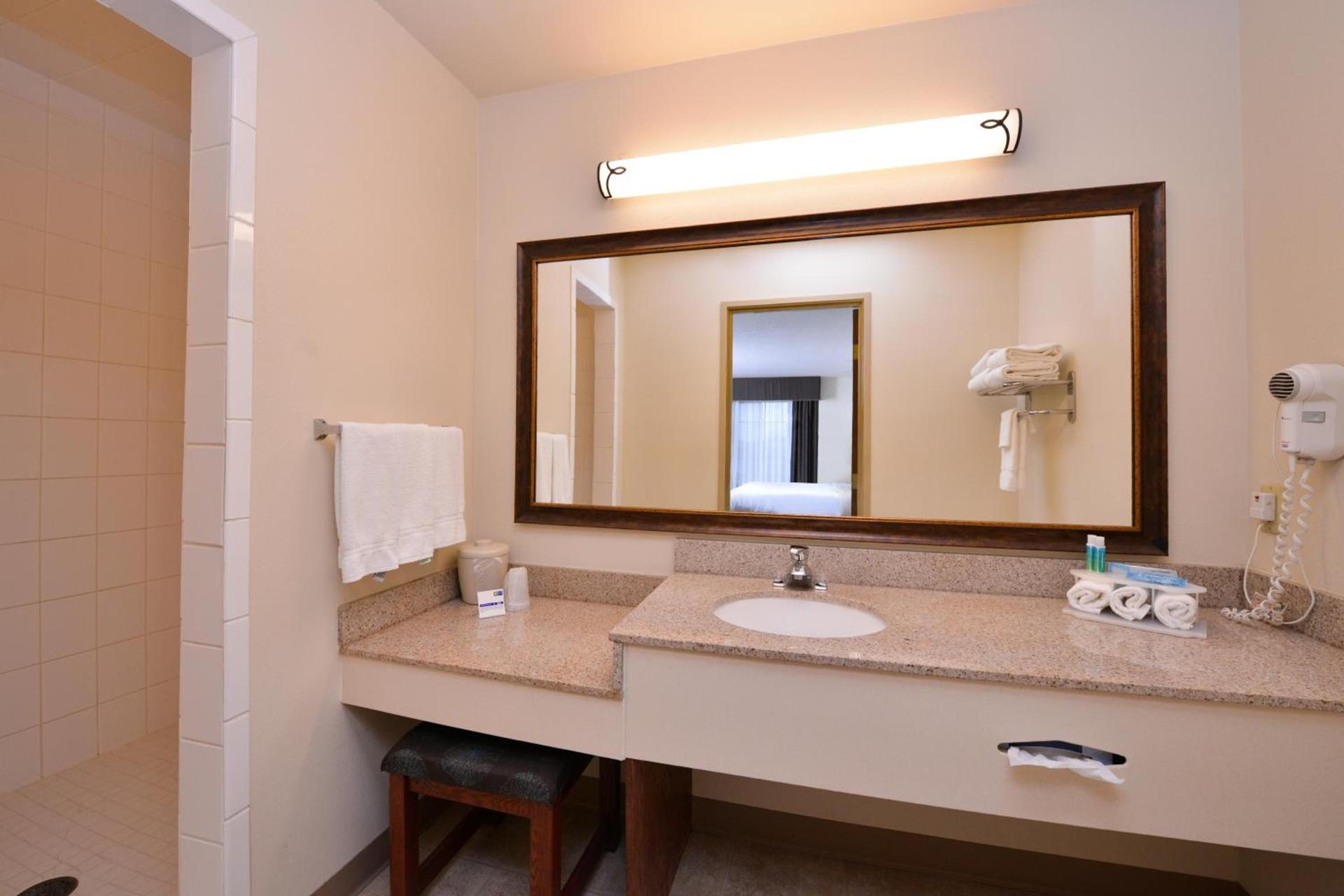 Holiday Inn Express Hotel & Suites Sioux Falls At Empire Mall by IHG photo 94