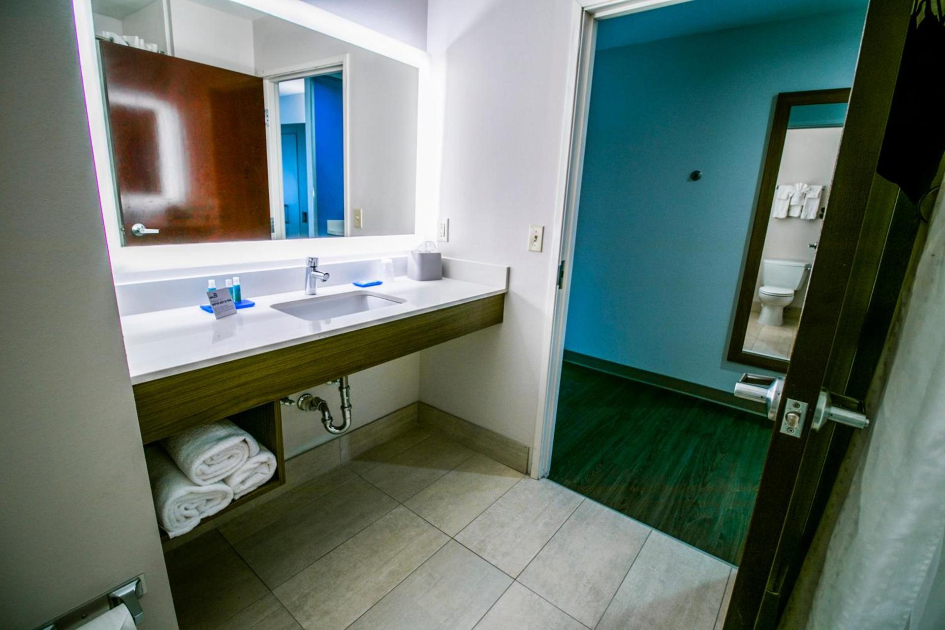 Holiday Inn Express Hotel & Suites Baton Rouge -Port Allen by IHG photo 31