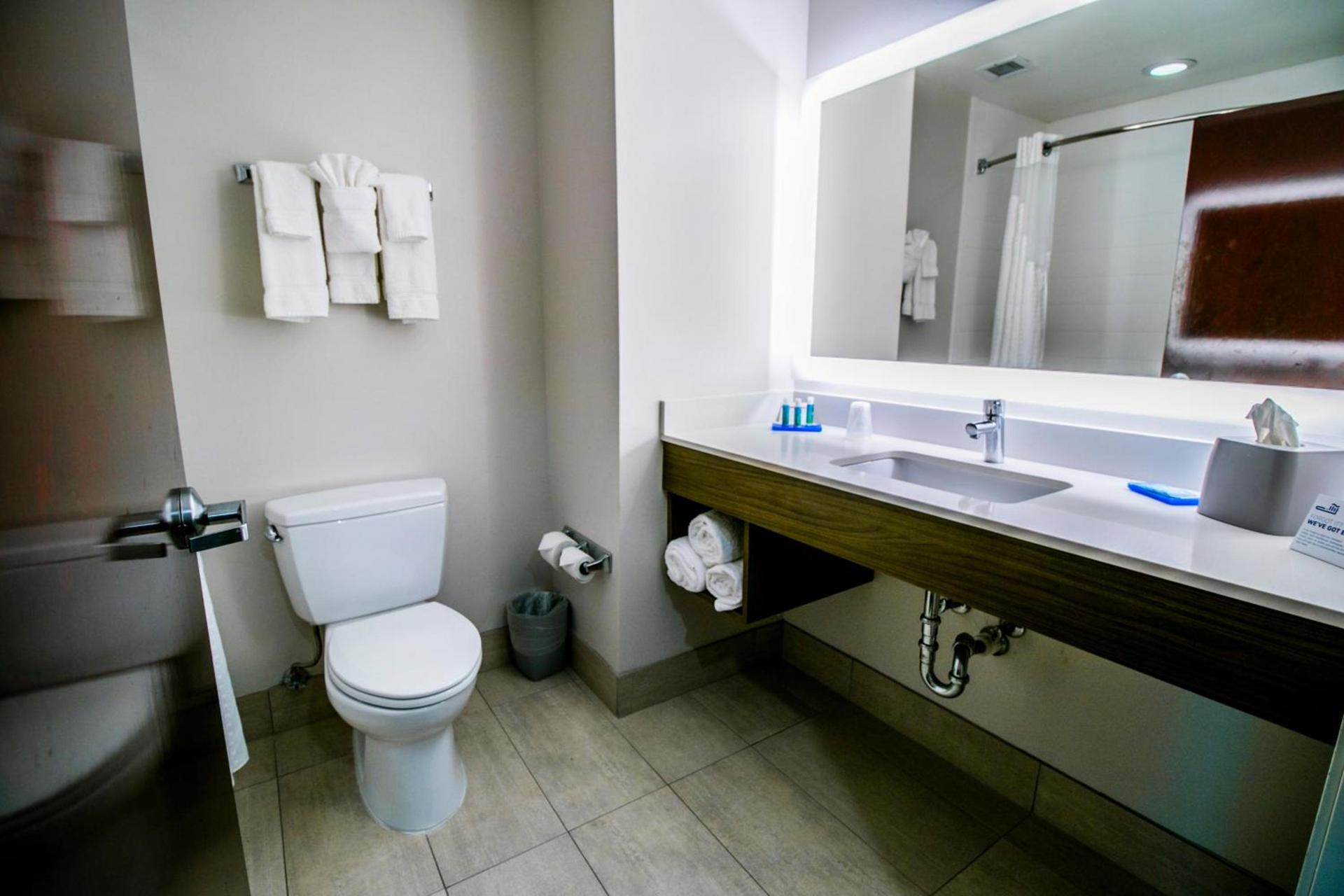 Holiday Inn Express Hotel & Suites Baton Rouge -Port Allen by IHG photo 34
