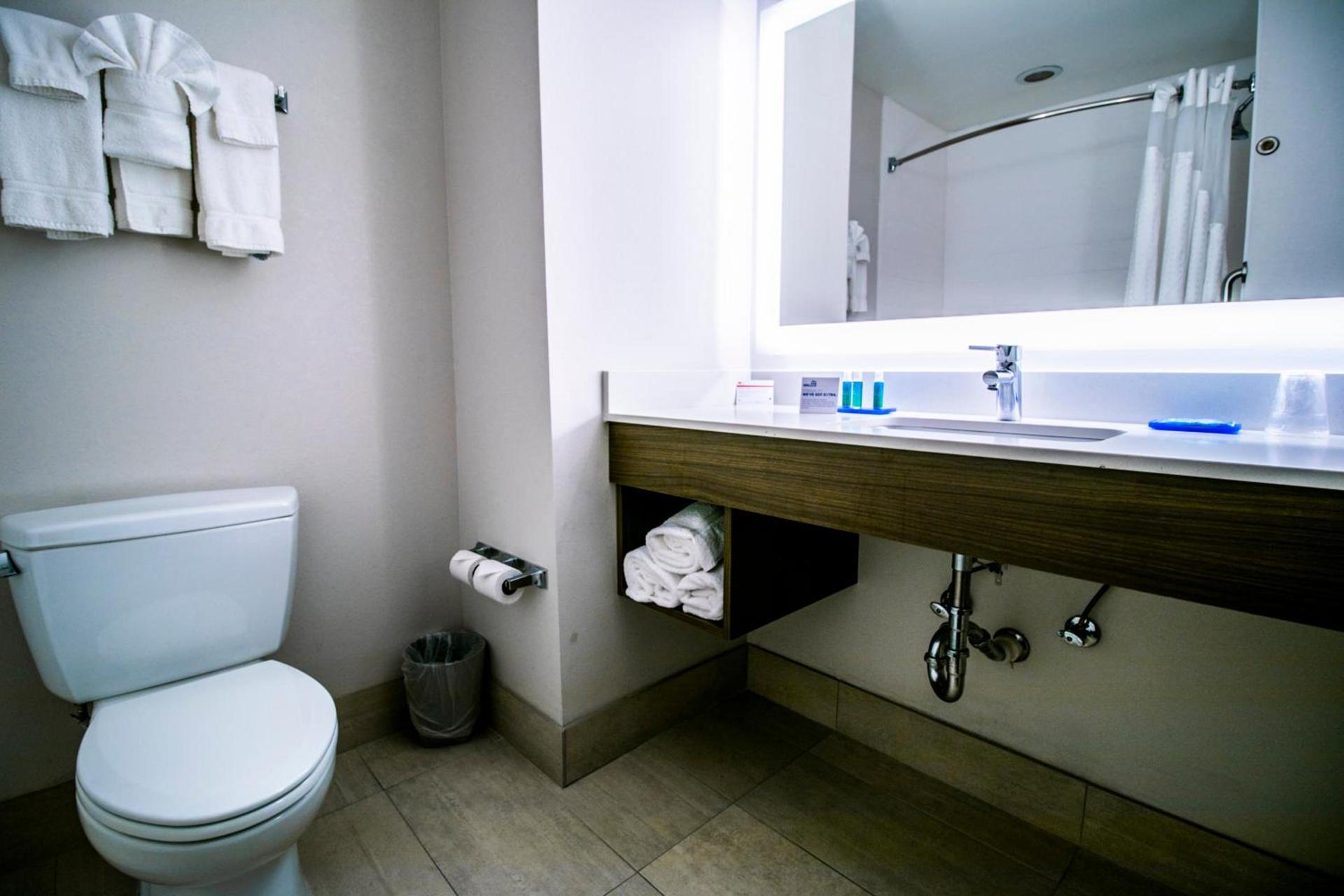 Holiday Inn Express Hotel & Suites Baton Rouge -Port Allen by IHG photo 33