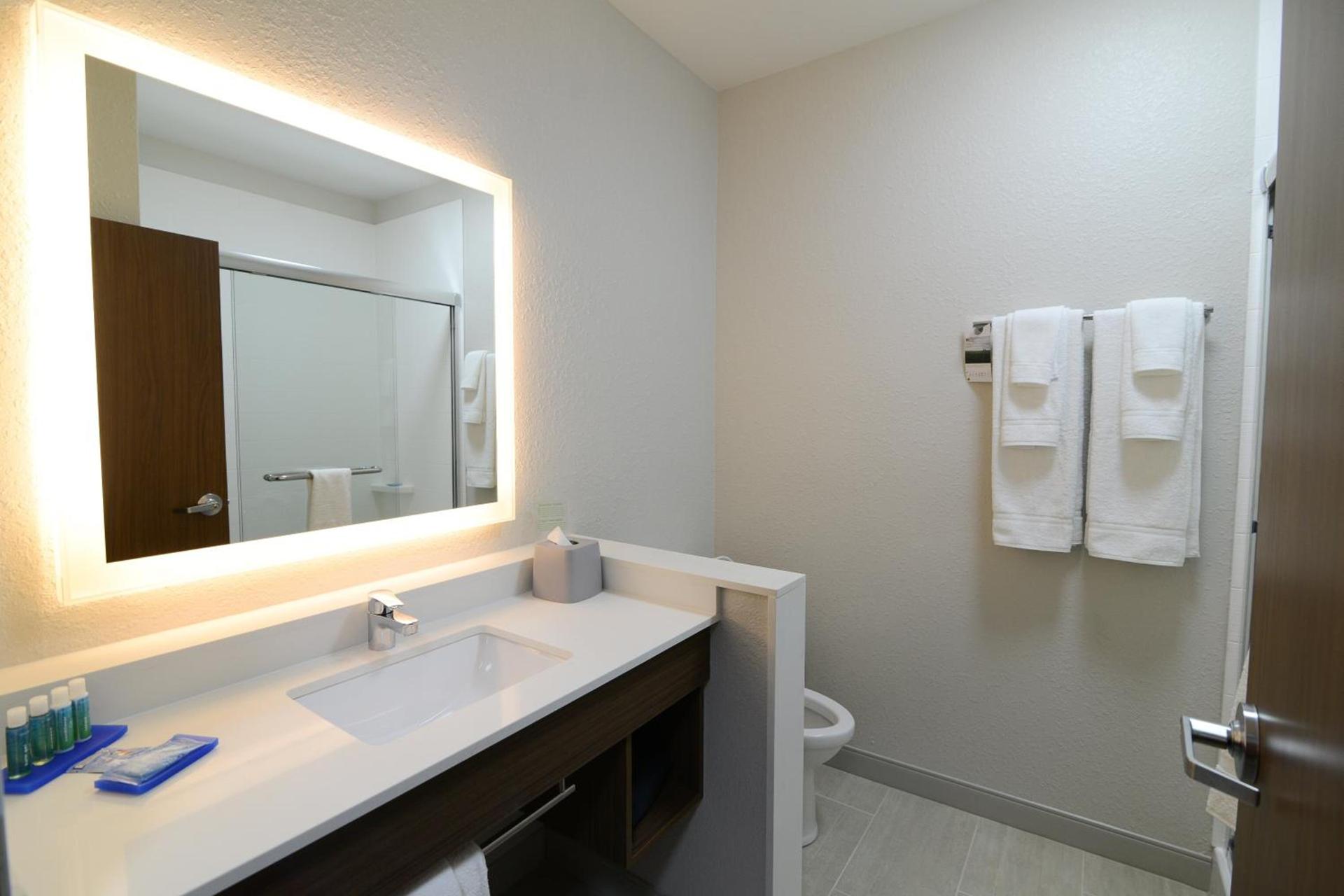 Holiday Inn Express & Suites Chicago North Shore - Niles by IHG photo 30