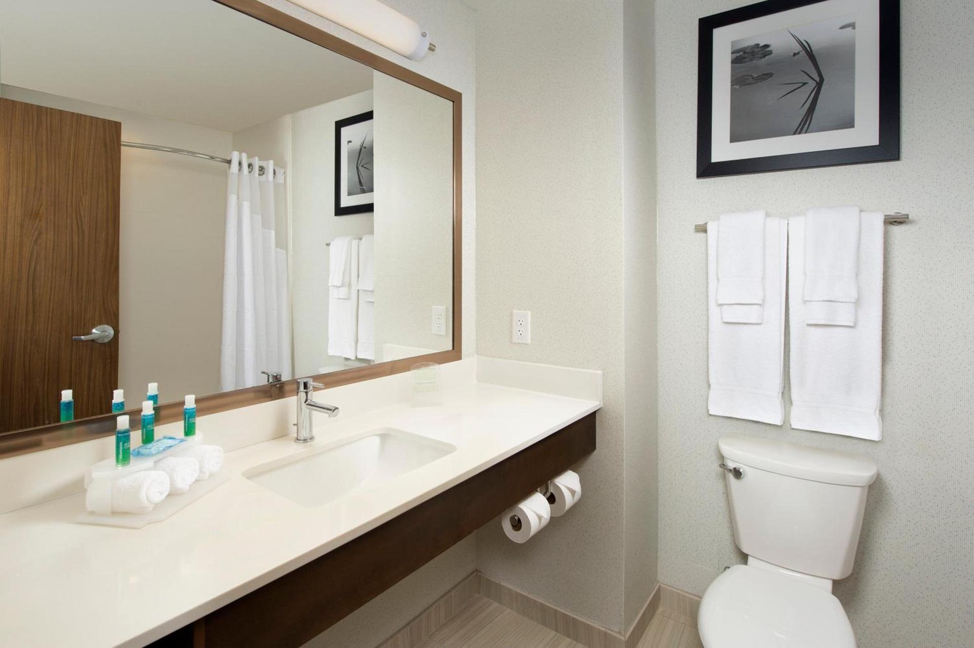 Holiday Inn Express & Suites Bay City by IHG photo 22