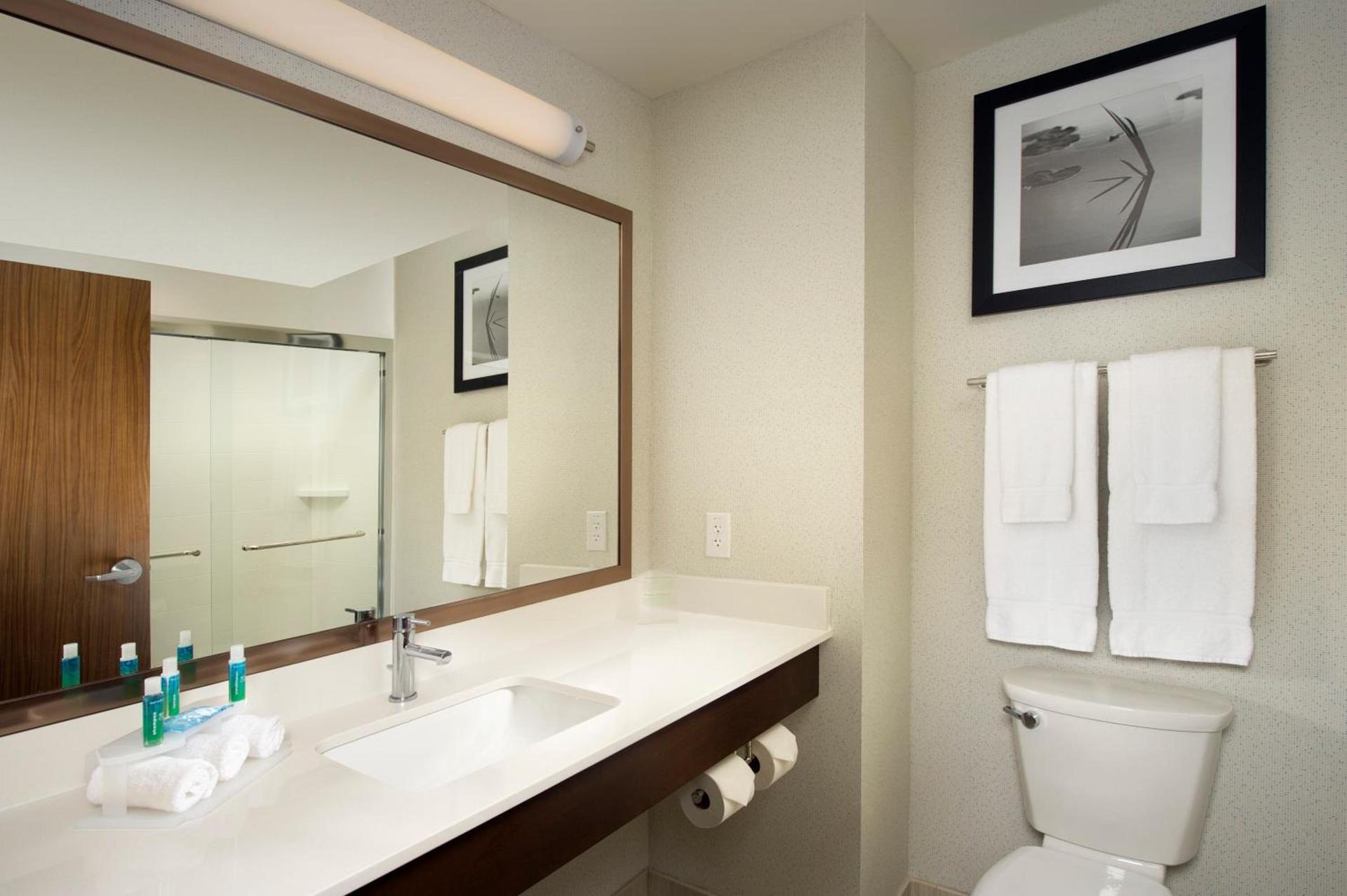 Holiday Inn Express & Suites Bay City by IHG photo 21