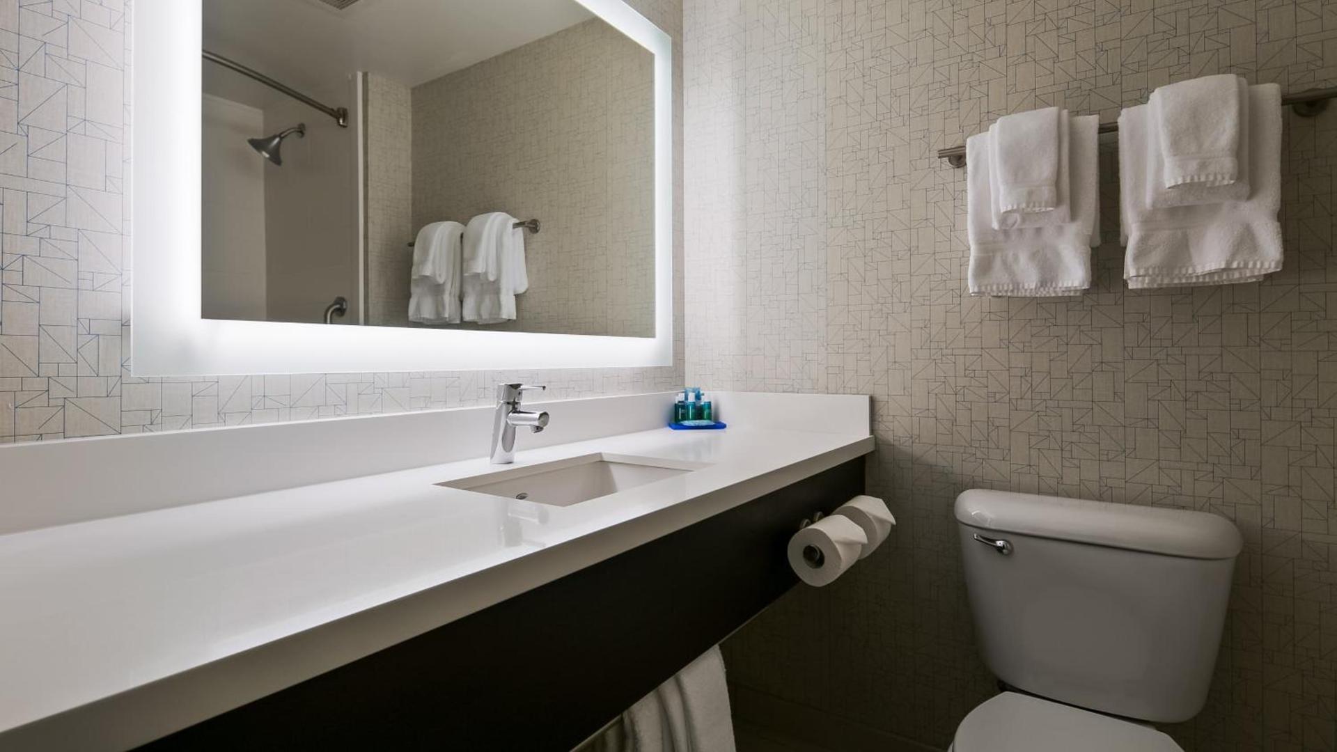 Holiday Inn Express Hotel & Suites Everett by IHG photo 28