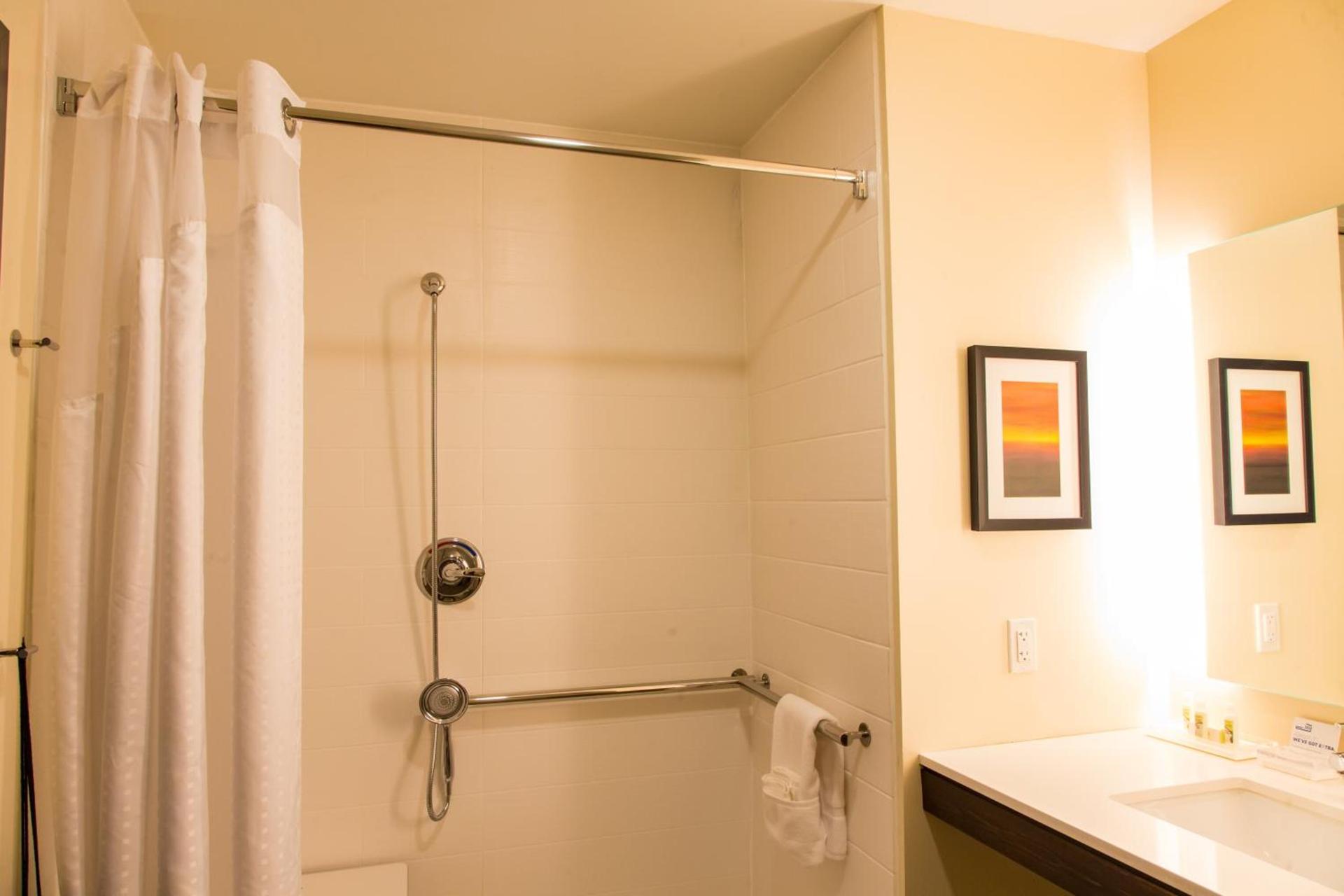 Holiday Inn Hotel & Suites - Mount Pleasant by IHG photo 35