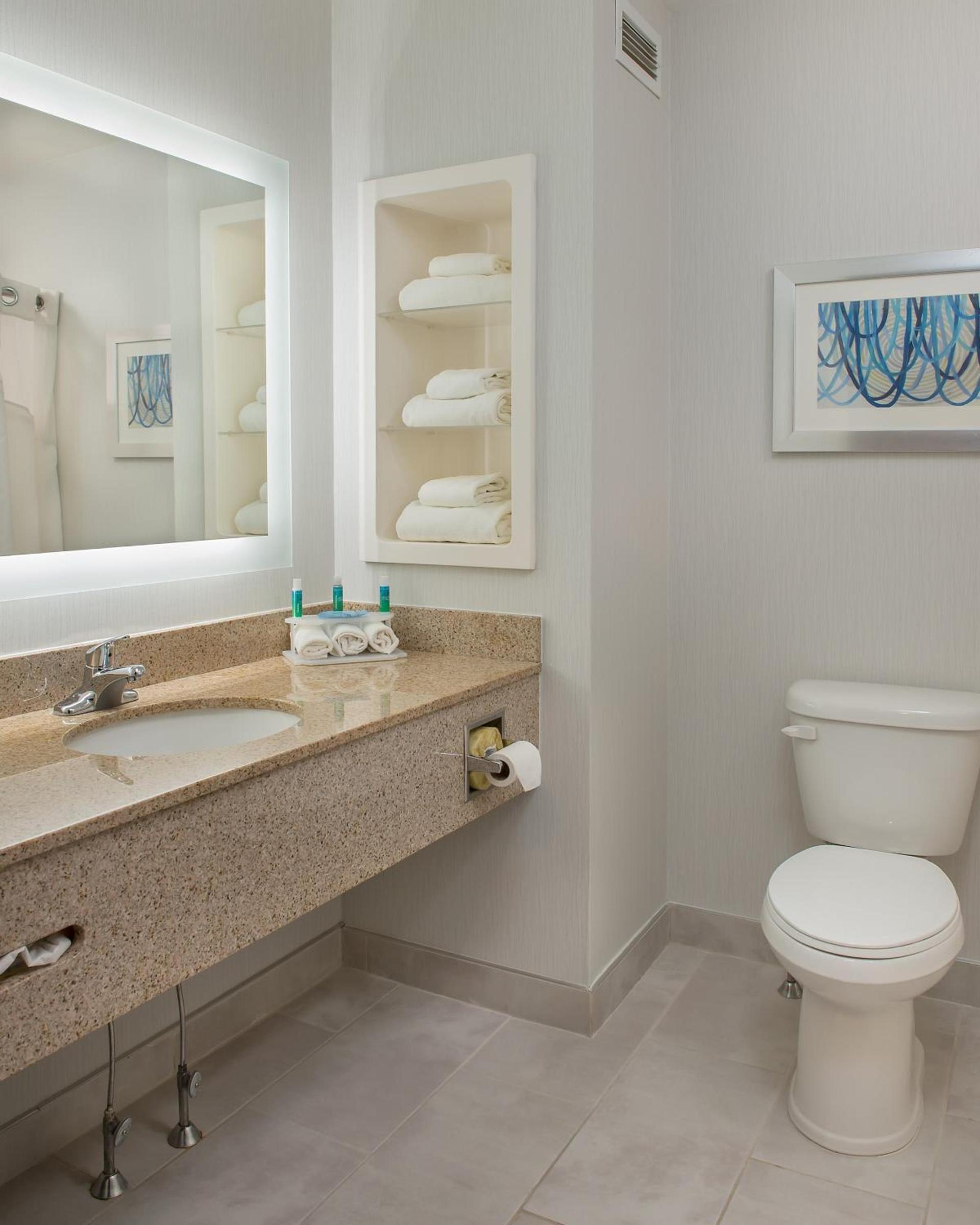 Holiday Inn Express Hotel & Suites Clifton Park by IHG photo 29