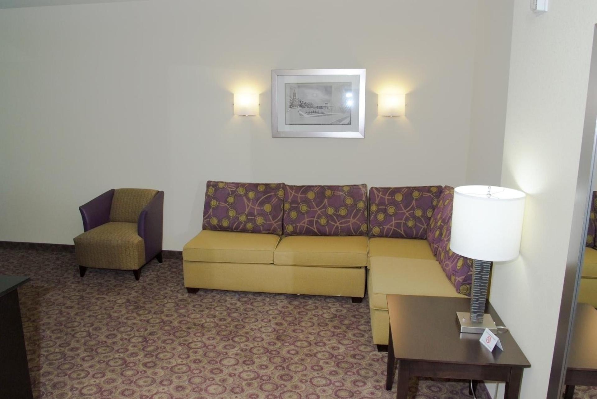 Holiday Inn Express Hotel & Suites Clemson - University Area by IHG photo 5