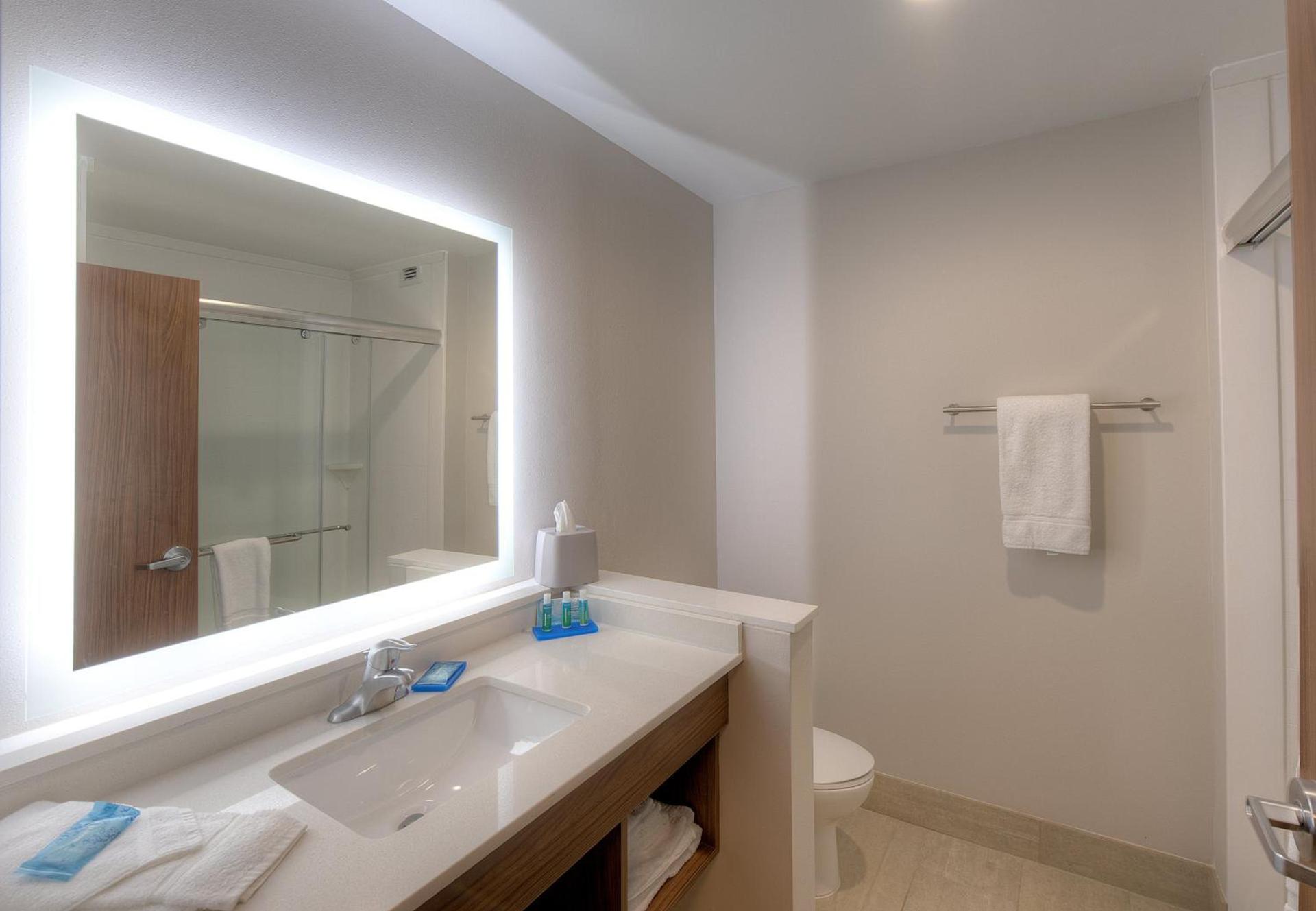 Holiday Inn Express & Suites - Fort Mill by IHG photo 33