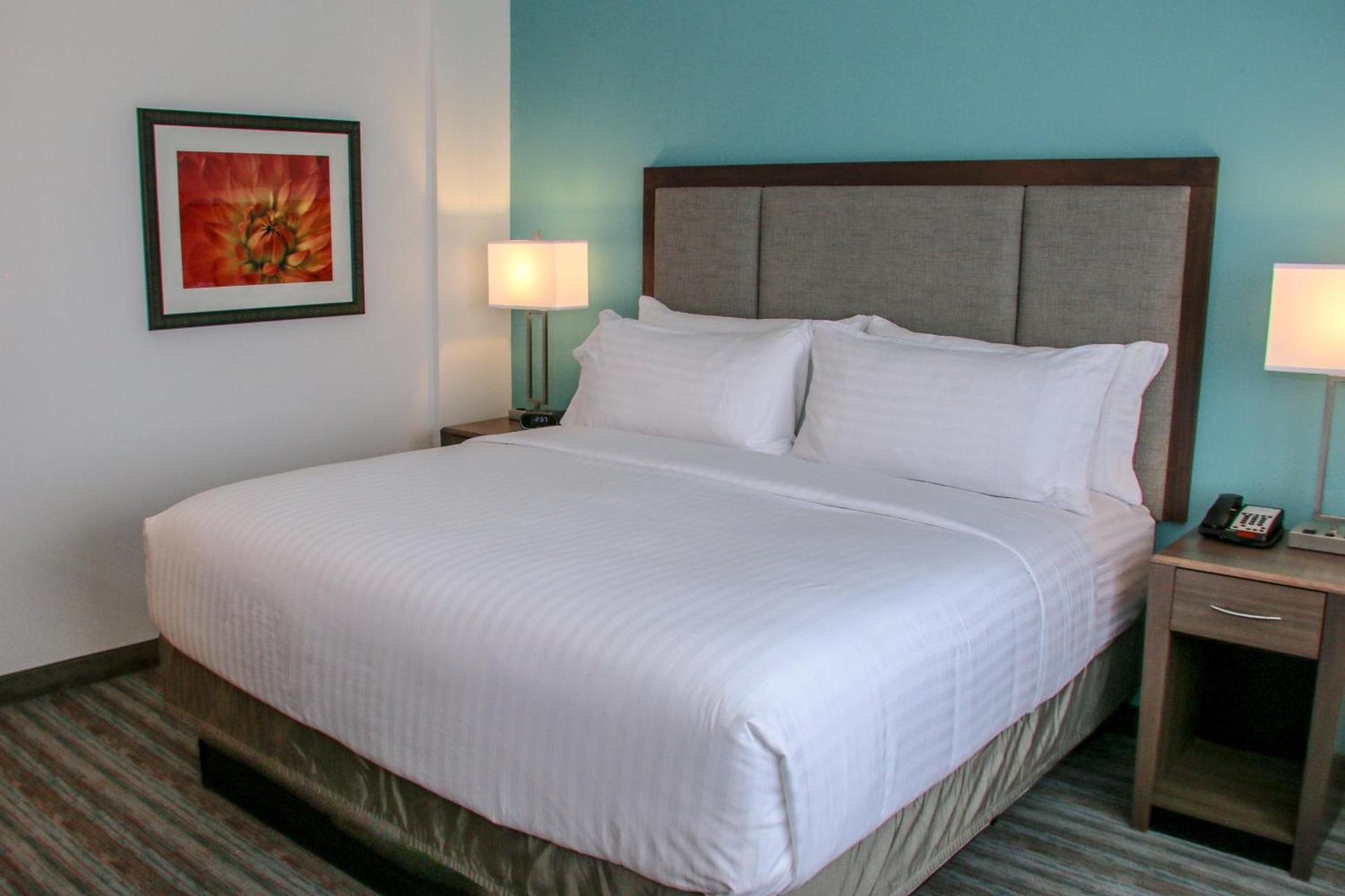 Holiday Inn & Suites Denver Tech Center-Centennial by IHG photo 86