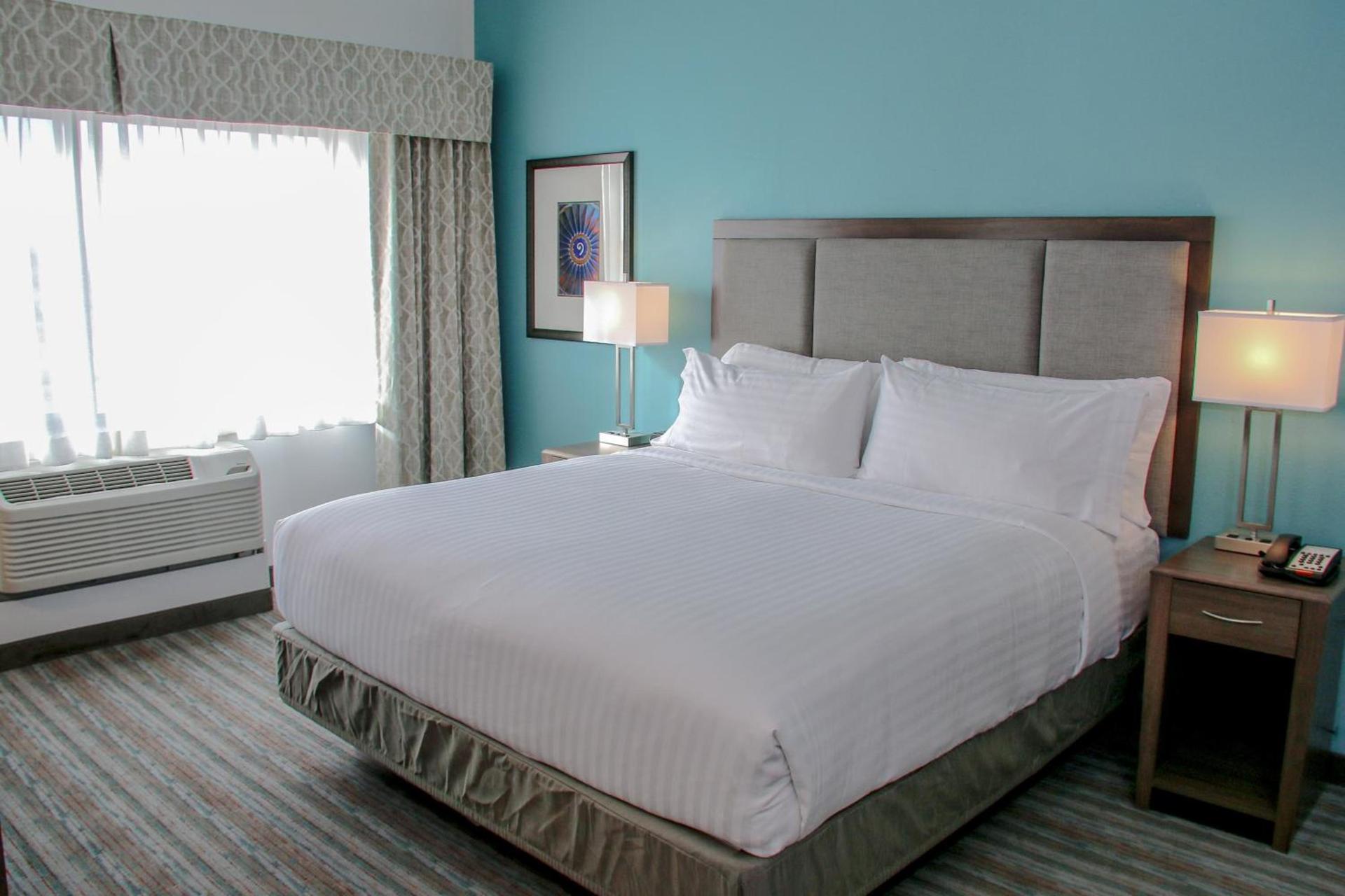 Holiday Inn & Suites Denver Tech Center-Centennial by IHG photo 68